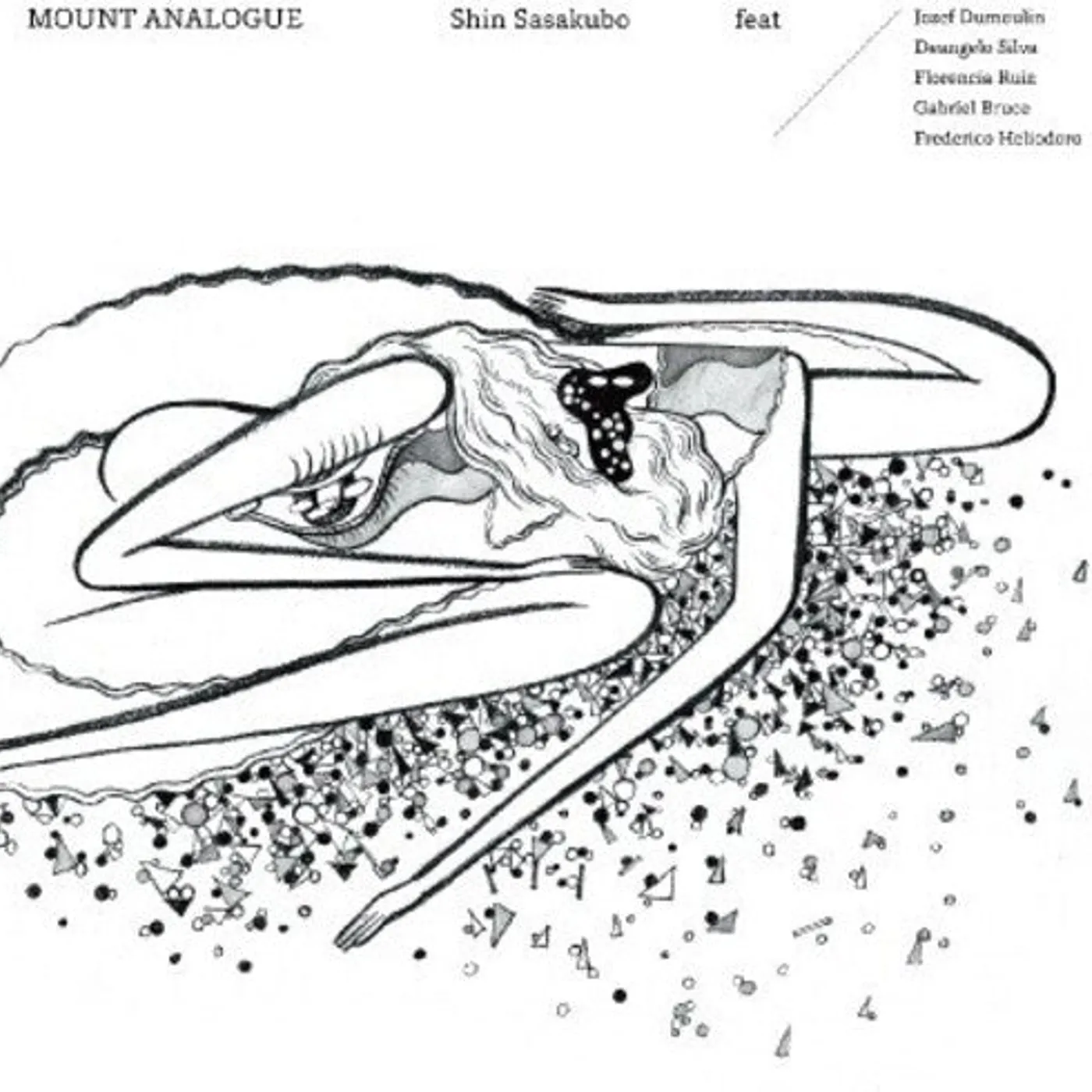 Shin Sasakubo LP Vinyl - Mount Analogue