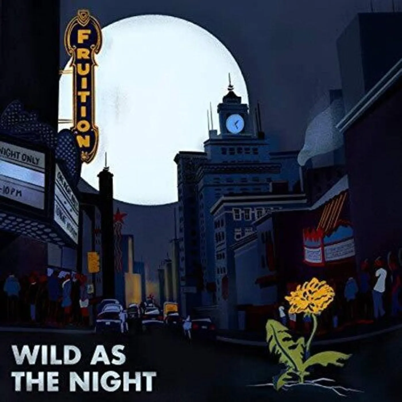 Fruition LP Vinyl - Wild As The Night Brokem At The Break Of Day