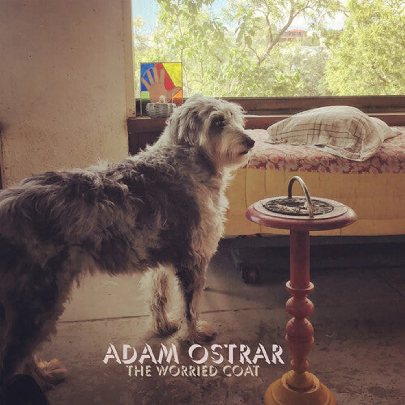 Adam Ostrar LP Vinyl - Worried Coat