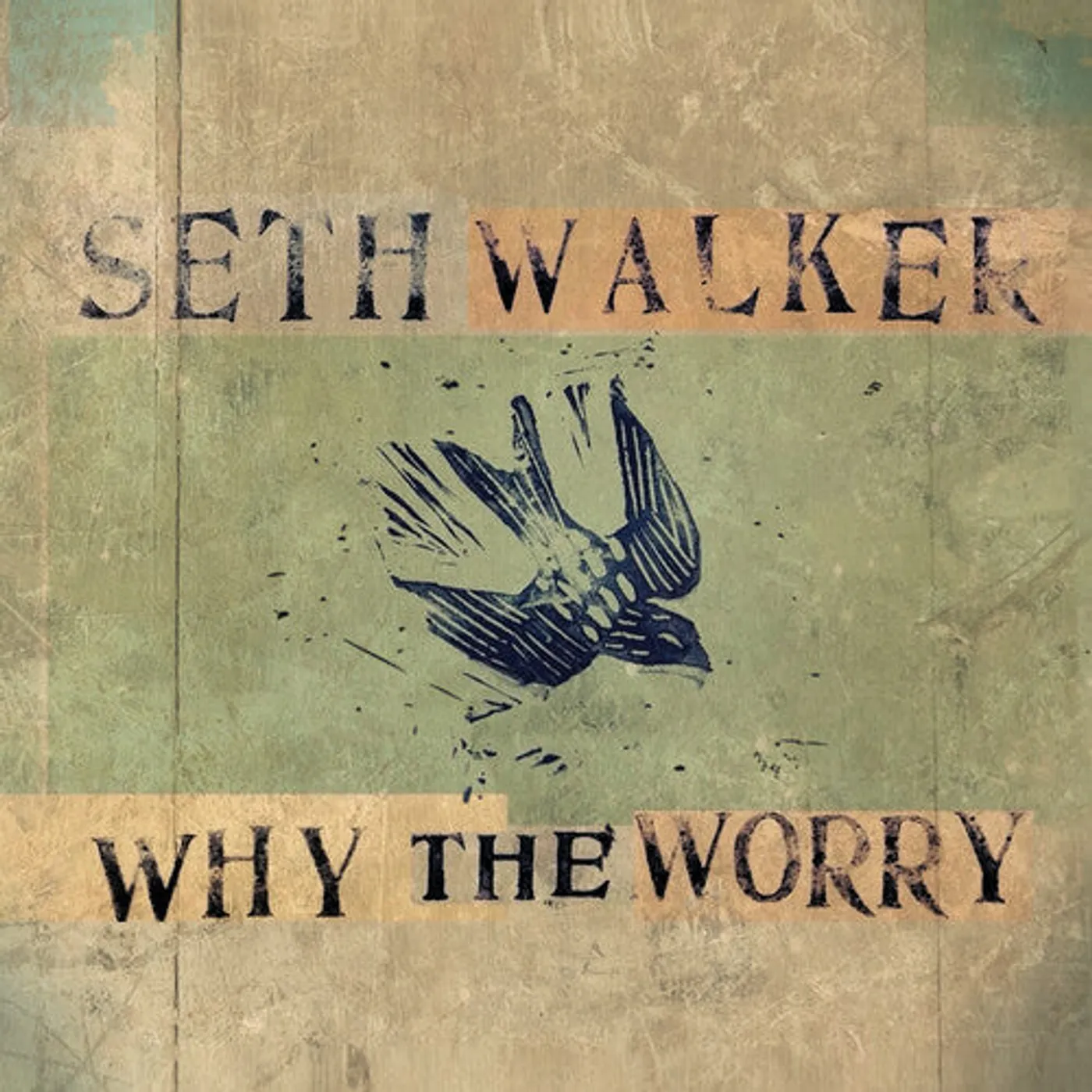 Seth Walker LP Vinyl - Why The Worry