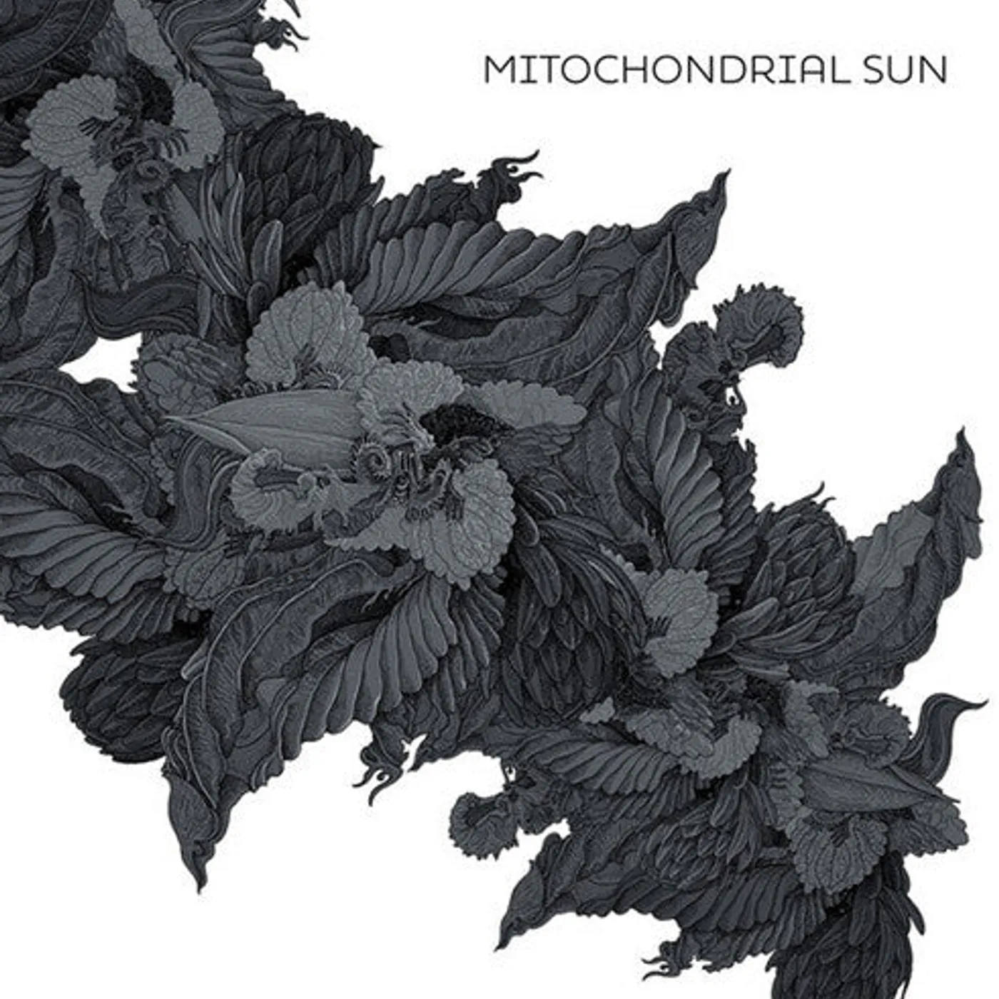 Mitochondrial Sun LP Vinyl - Mitochondrial Sun
