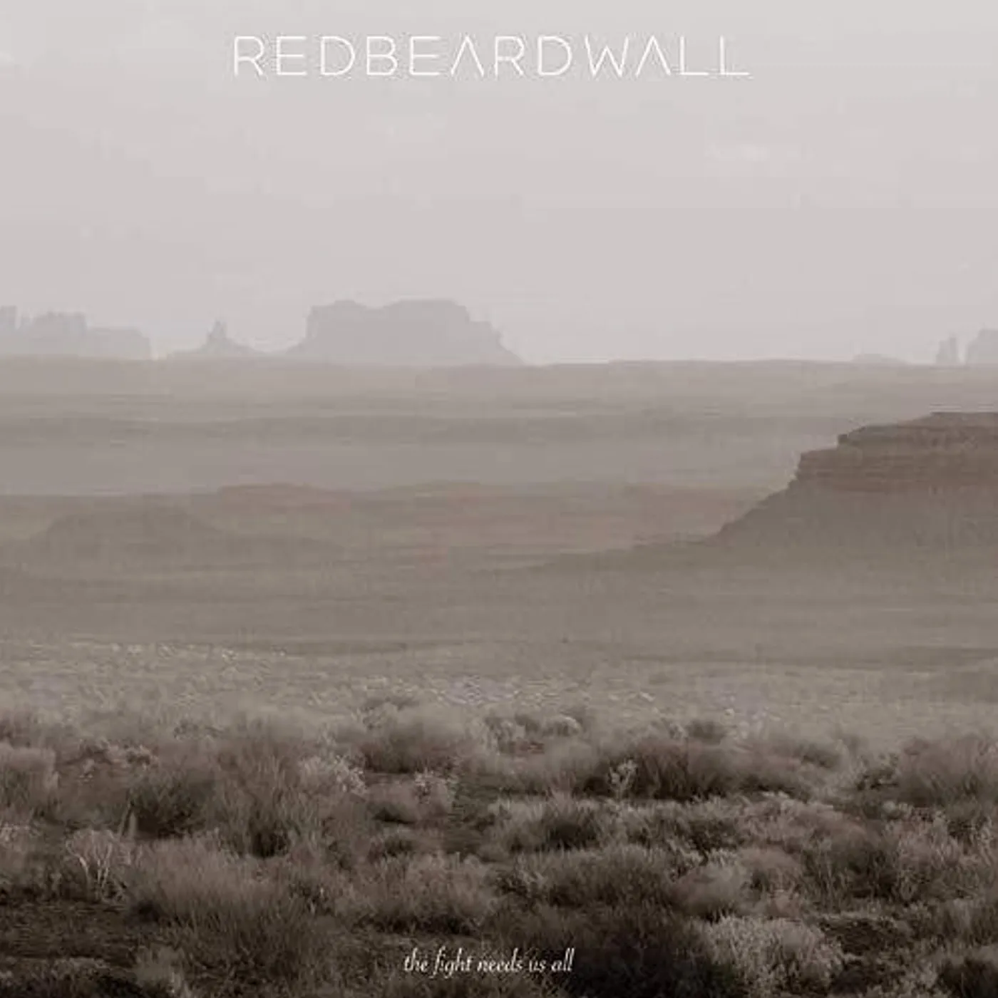 Red Beard Wall LP Vinyl - Fight Needs Us All