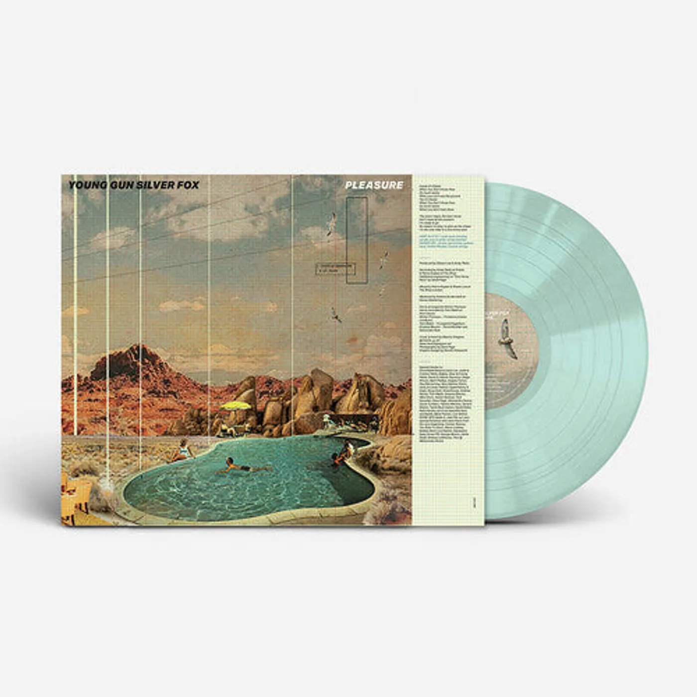 Young Gun Silver Fox LP Vinyl - Pleasure