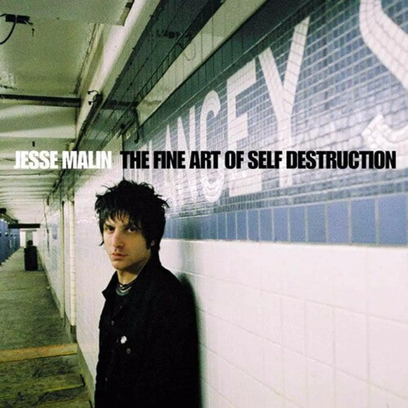 Jesse Malin LP Vinyl - Fine Art Of Self Destruction