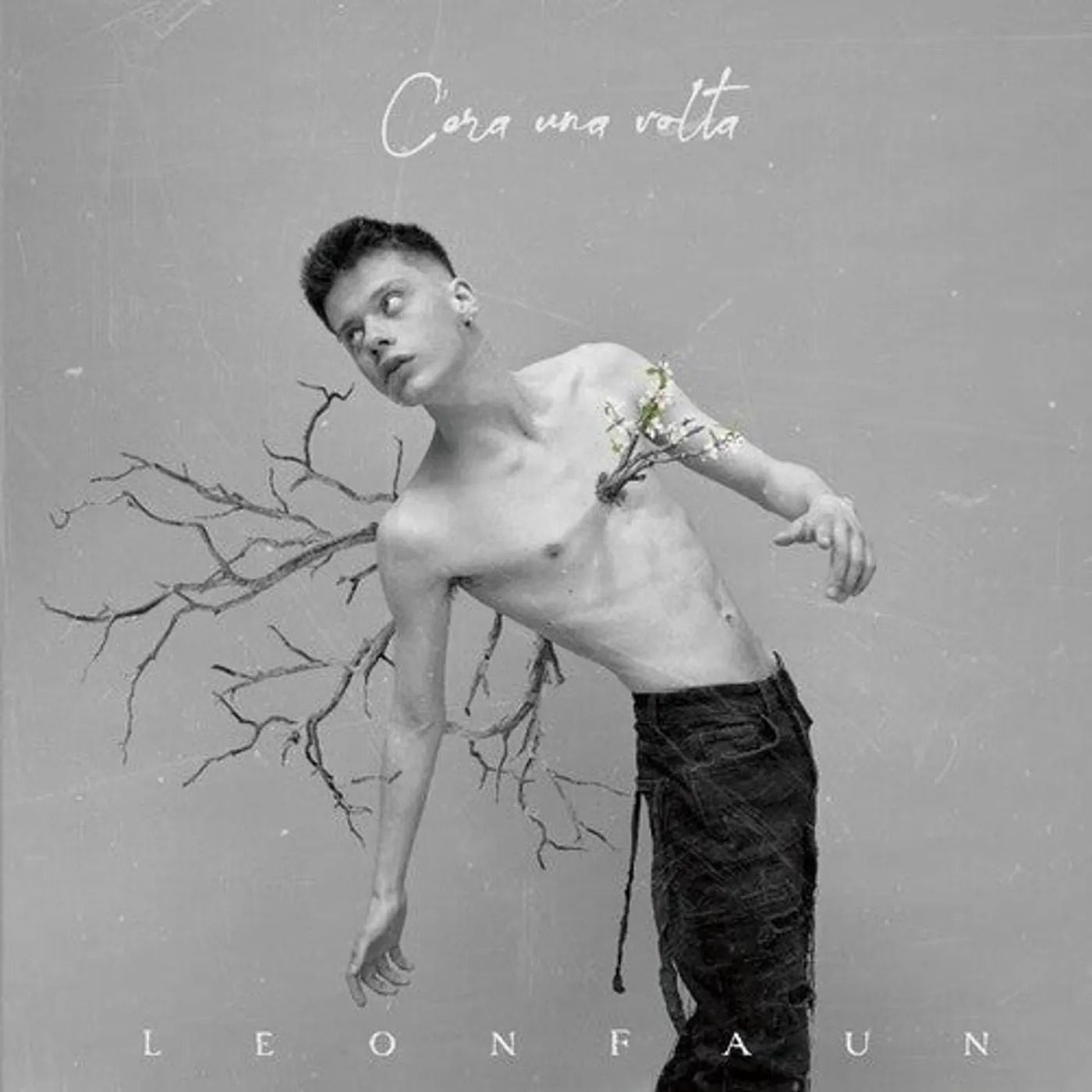 Leon Faun LP Vinyl - C'Era Una Volta (Ita)