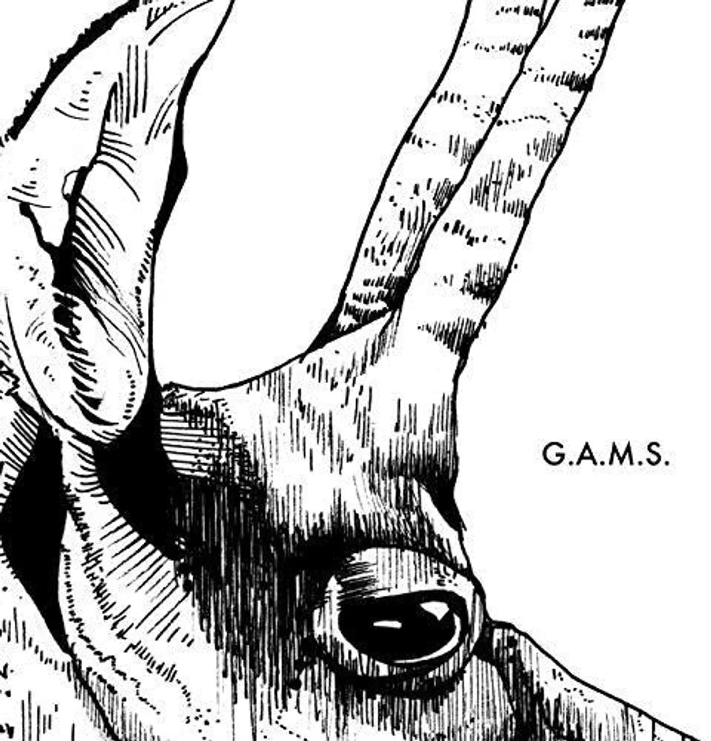 G.A.M.S.
