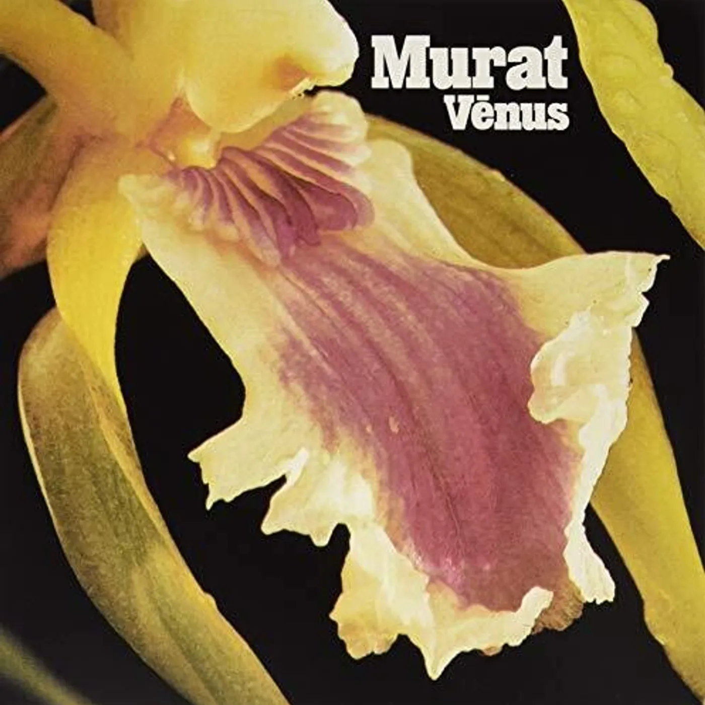 Jean-Louis Murat LP Vinyl - Venus (Uk)