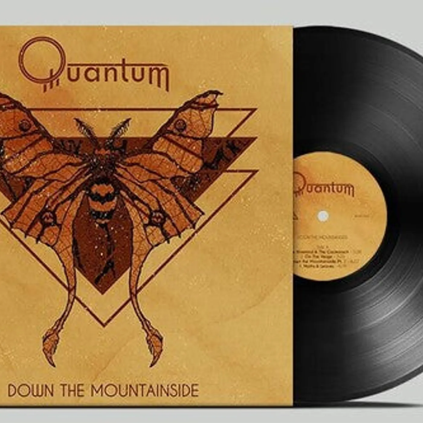 Quantum LP Vinyl - Down The Mountainside (Blk)