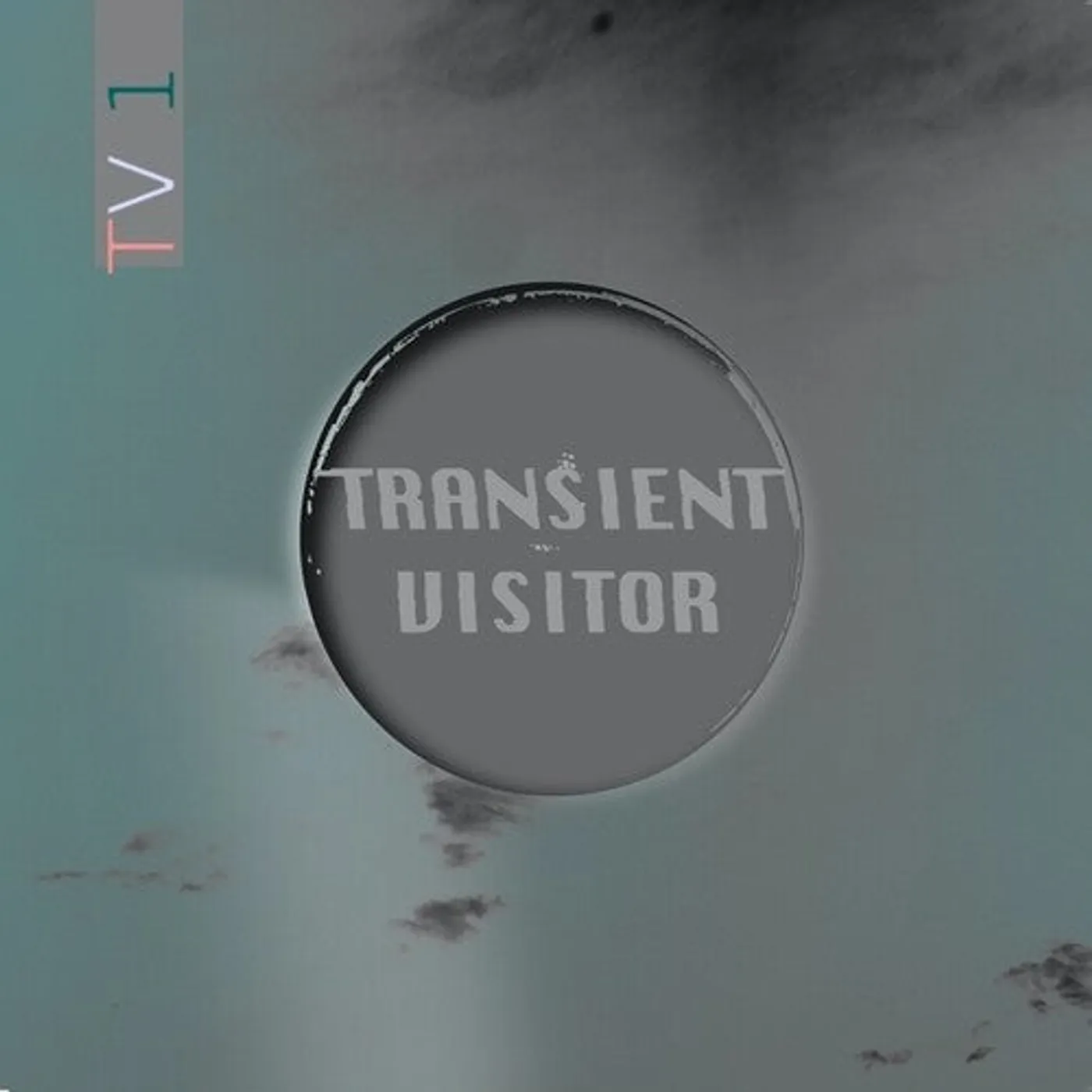 Transient Visitor LP Vinyl - Tv1
