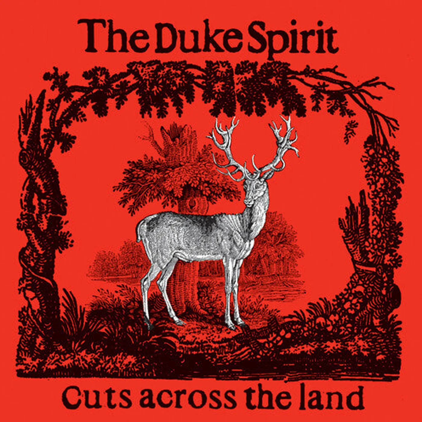 The Duke Spirit LP Vinyl - Cuts Across The Land - Deluxe (Coloured Vinyl) (Red) (Ylw)