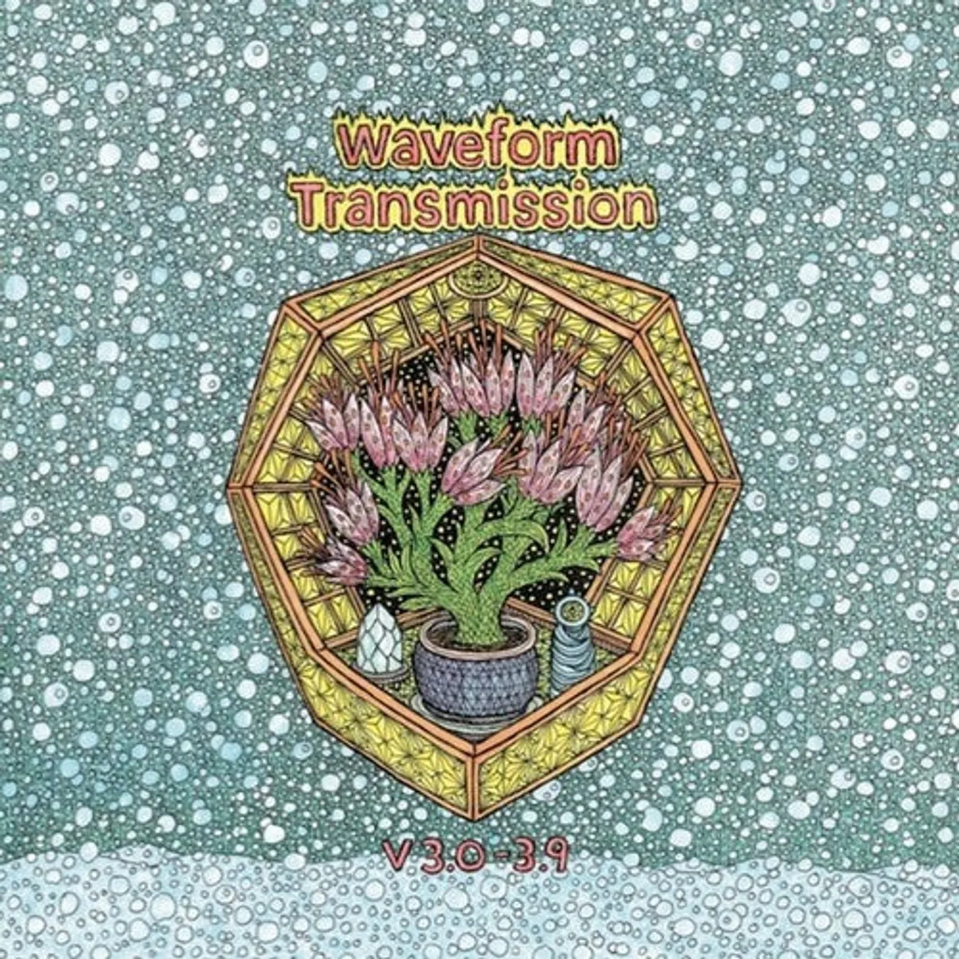 Waveform Transmission LP Vinyl - V 3.0 - 3.9 (2Pk)