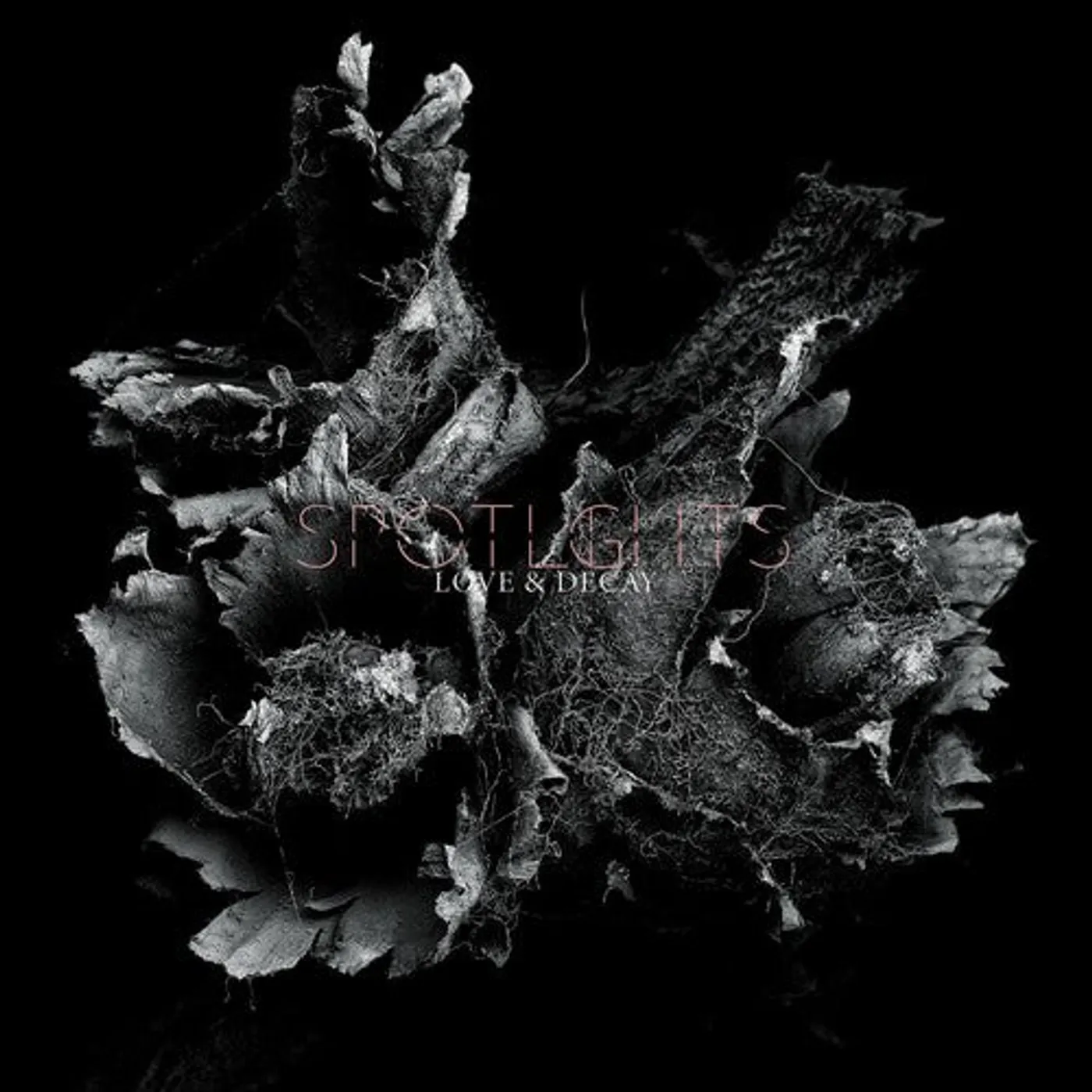 Spotlights LP Vinyl - Love & Decay