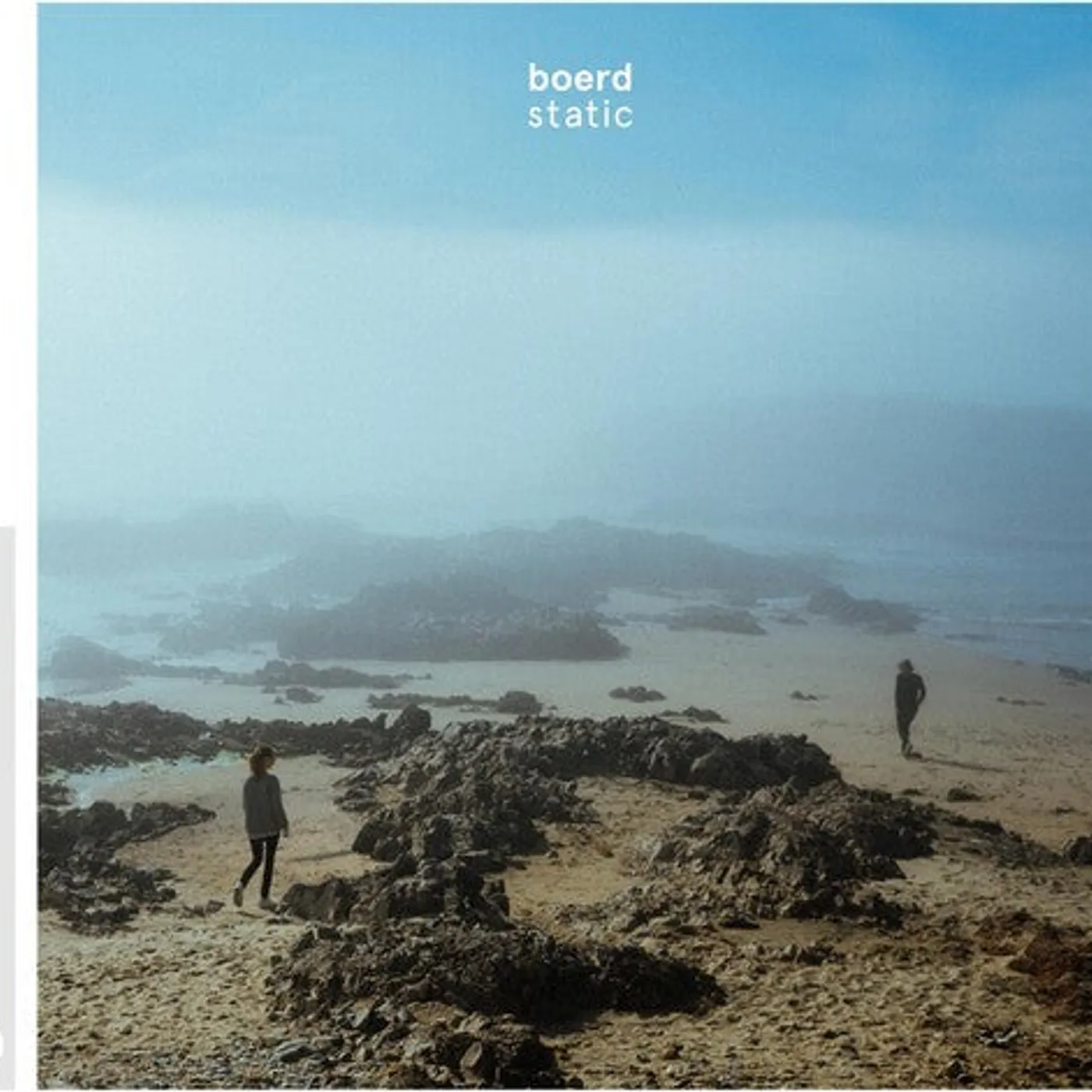 Boerd LP Vinyl - Static