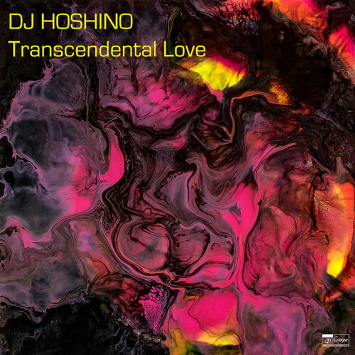 Dj Hoshino LP Vinyl - Transcendental Love
