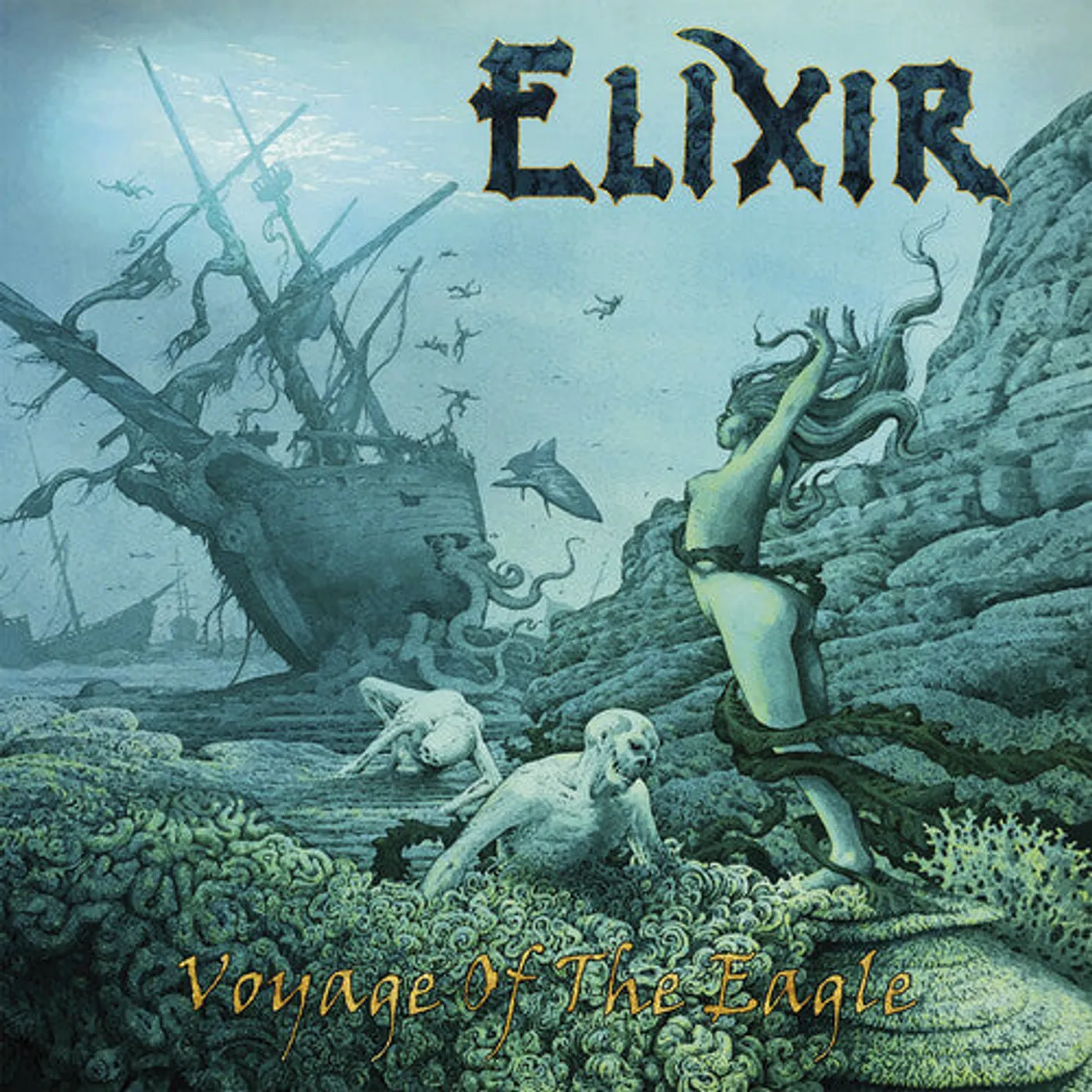 Elixir LP Vinyl - Voyage Of The Eagle