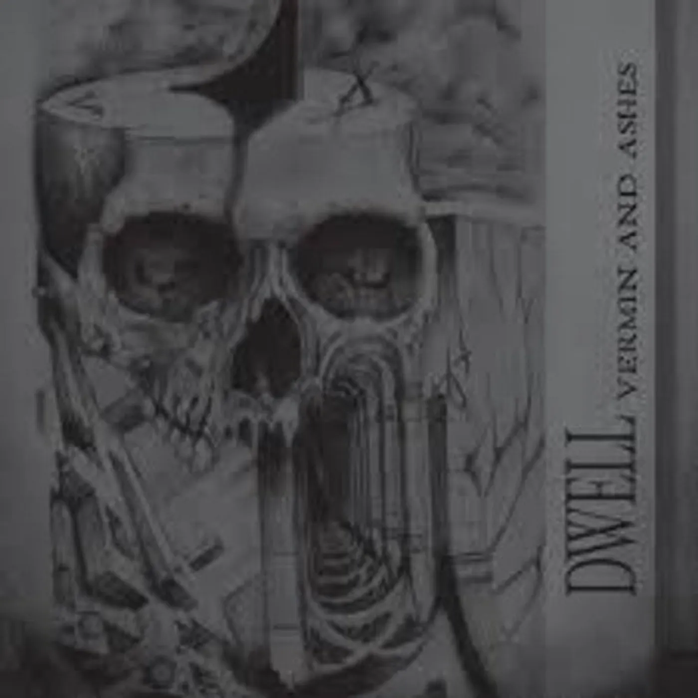 Dwell LP Vinyl - Vermin & Ashes (Uk)