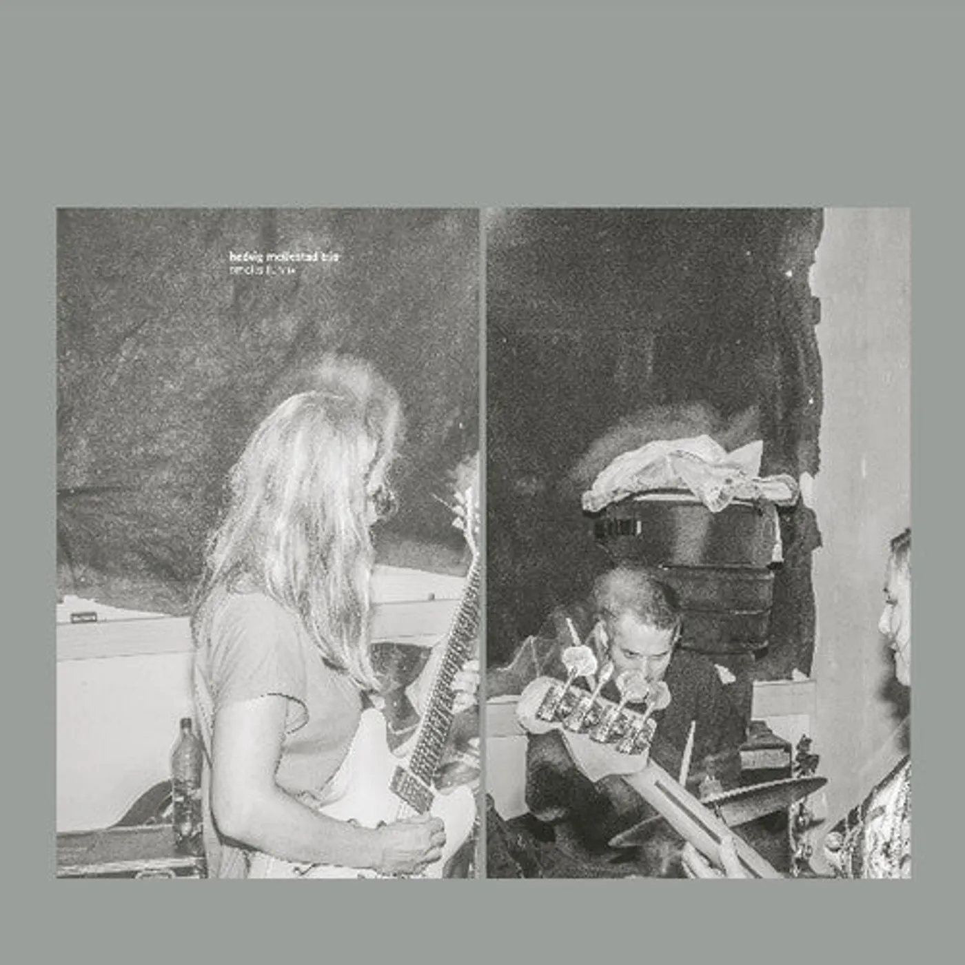 Hedvig Mollestad Trio LP Vinyl - Smells Funny