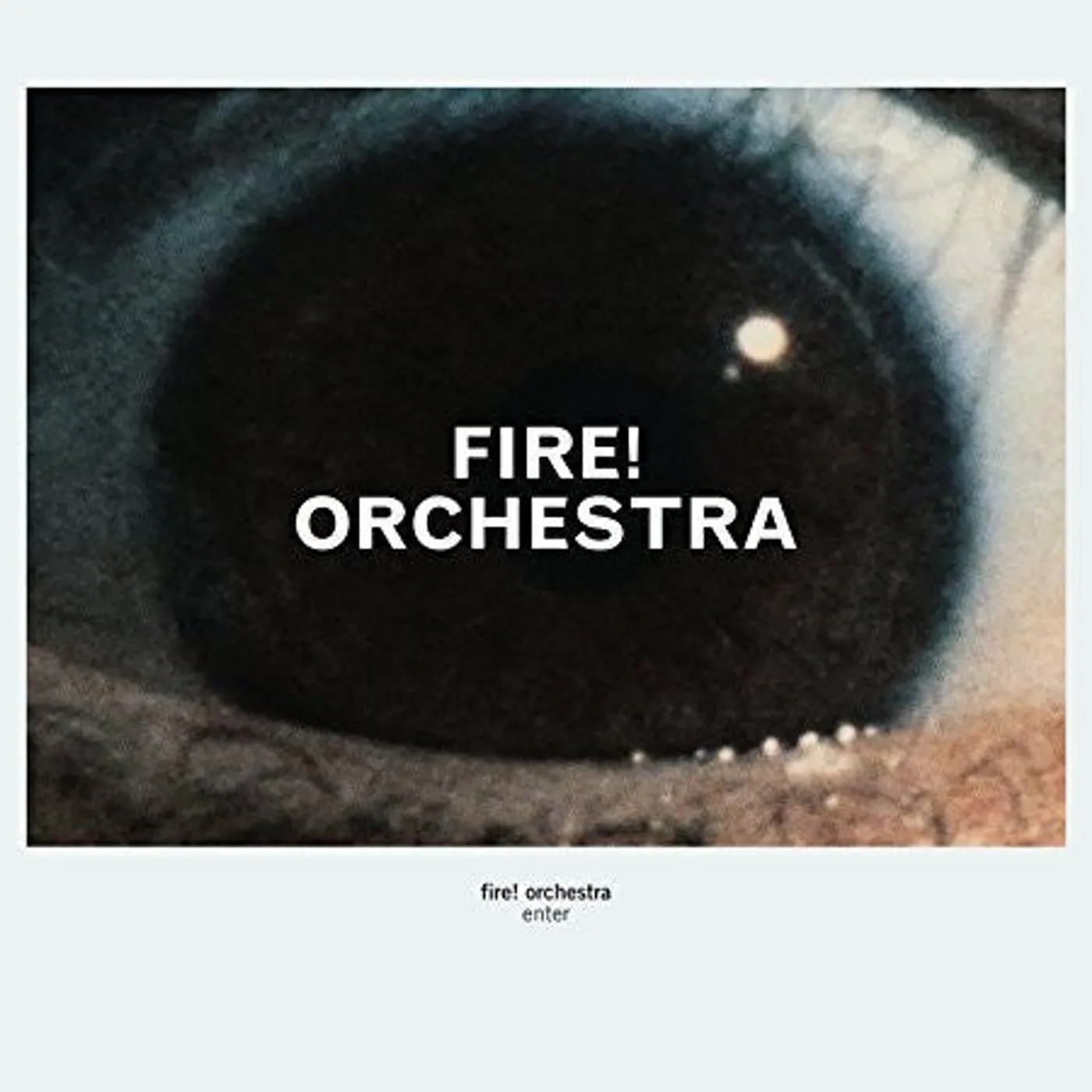 Fire! Orchestra LP Vinyl - Enter