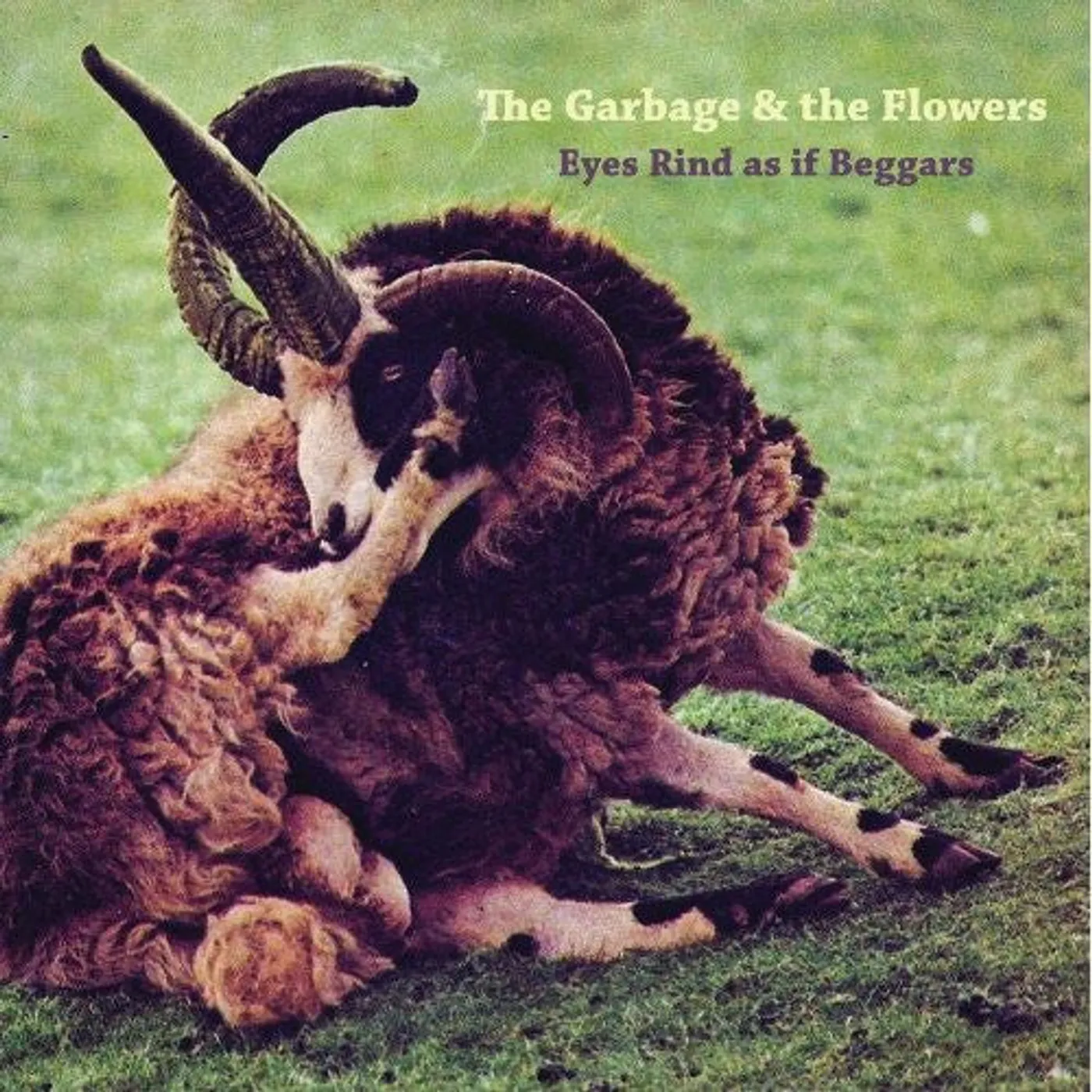 The Garbage & the Flowers LP Vinyl - Eyes Rind As If Beggars (W/Cd) (Reis)