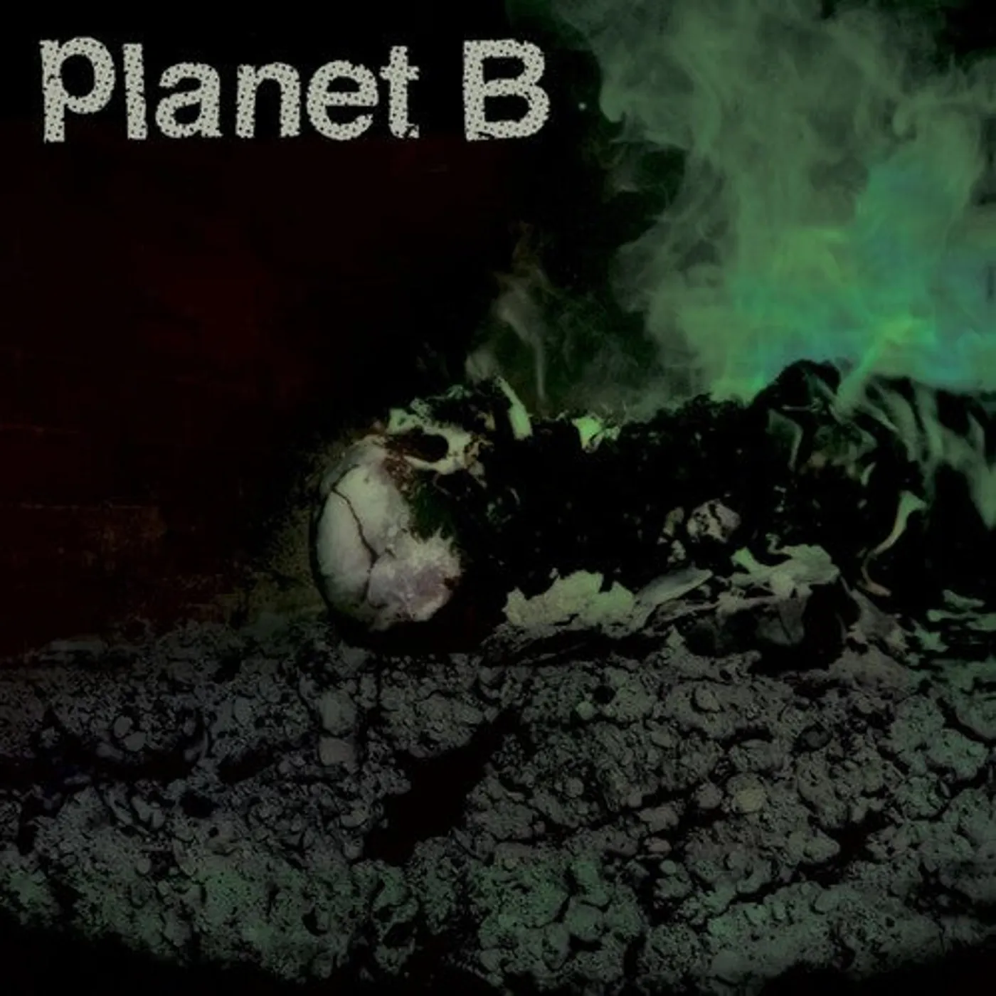 Planet-B LP Vinyl - Planet B
