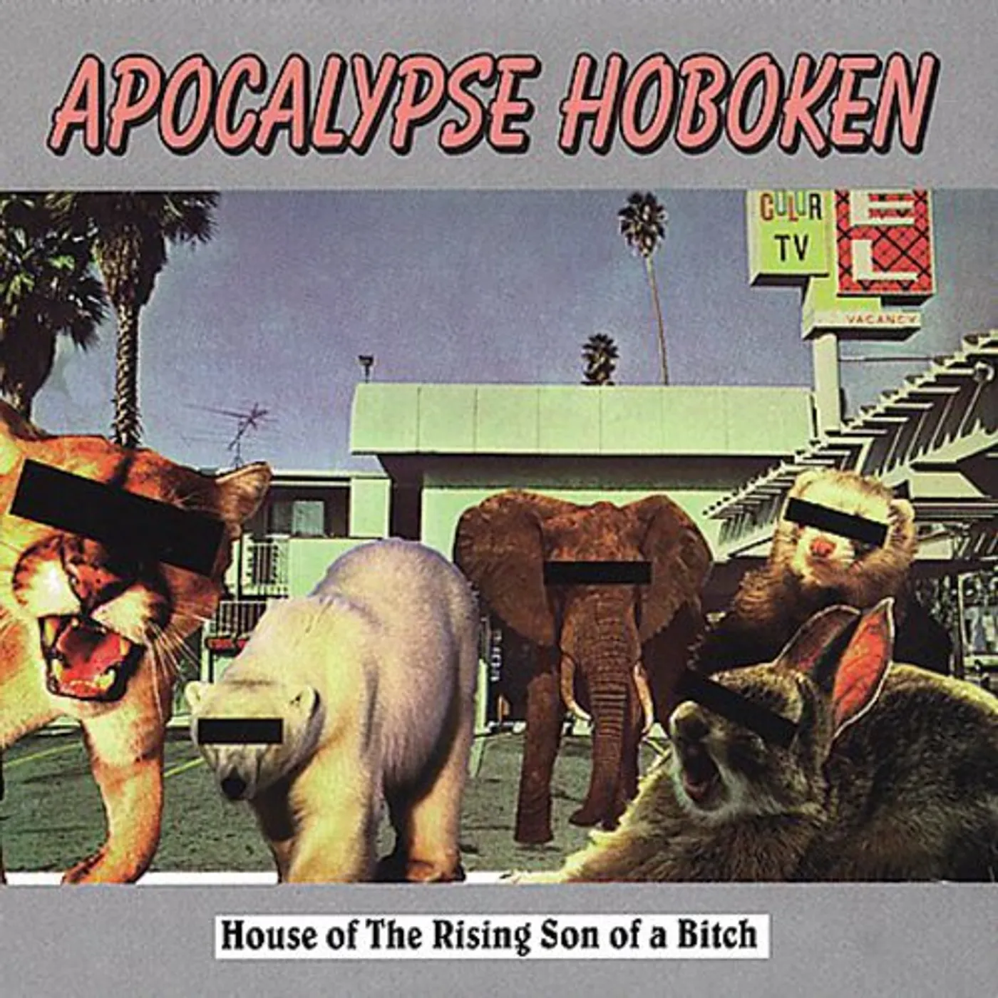 Apocalypse Hoboken LP Vinyl - House Of The Rising Son Of A Bitch