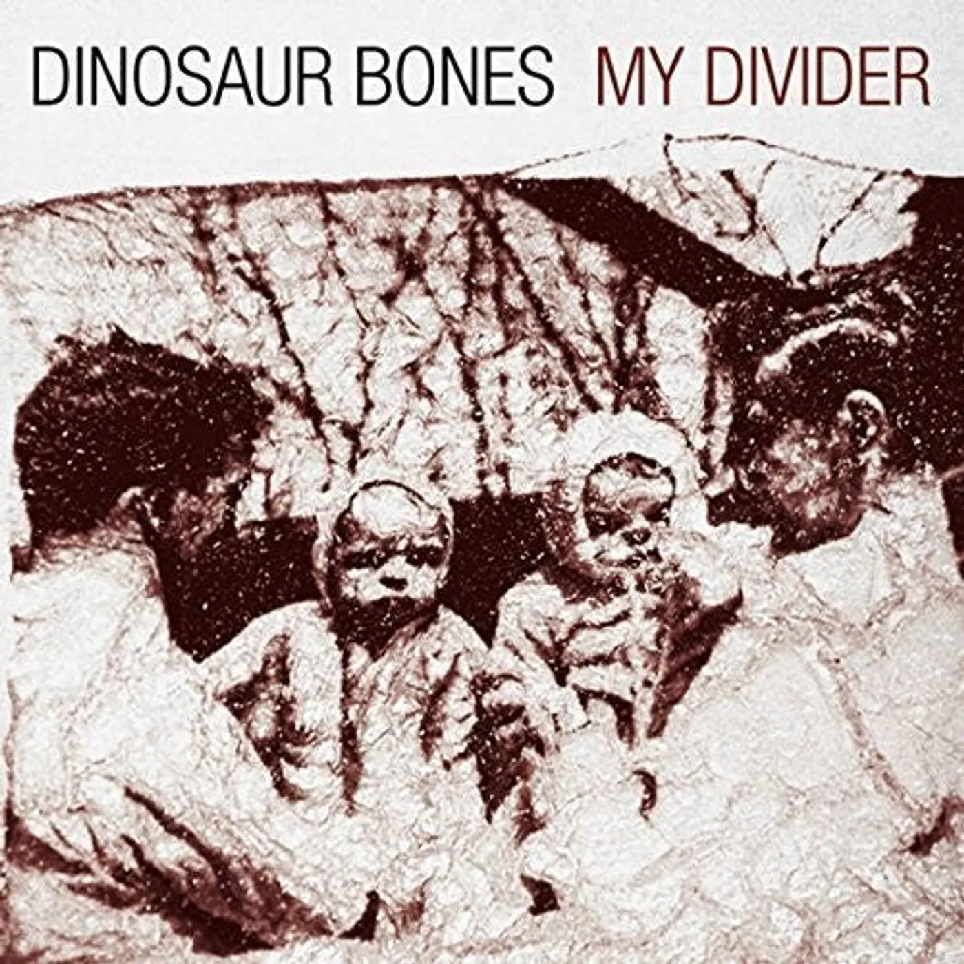 Dinosaur Bones LP Vinyl - My Divider (Vinyl) (Can)