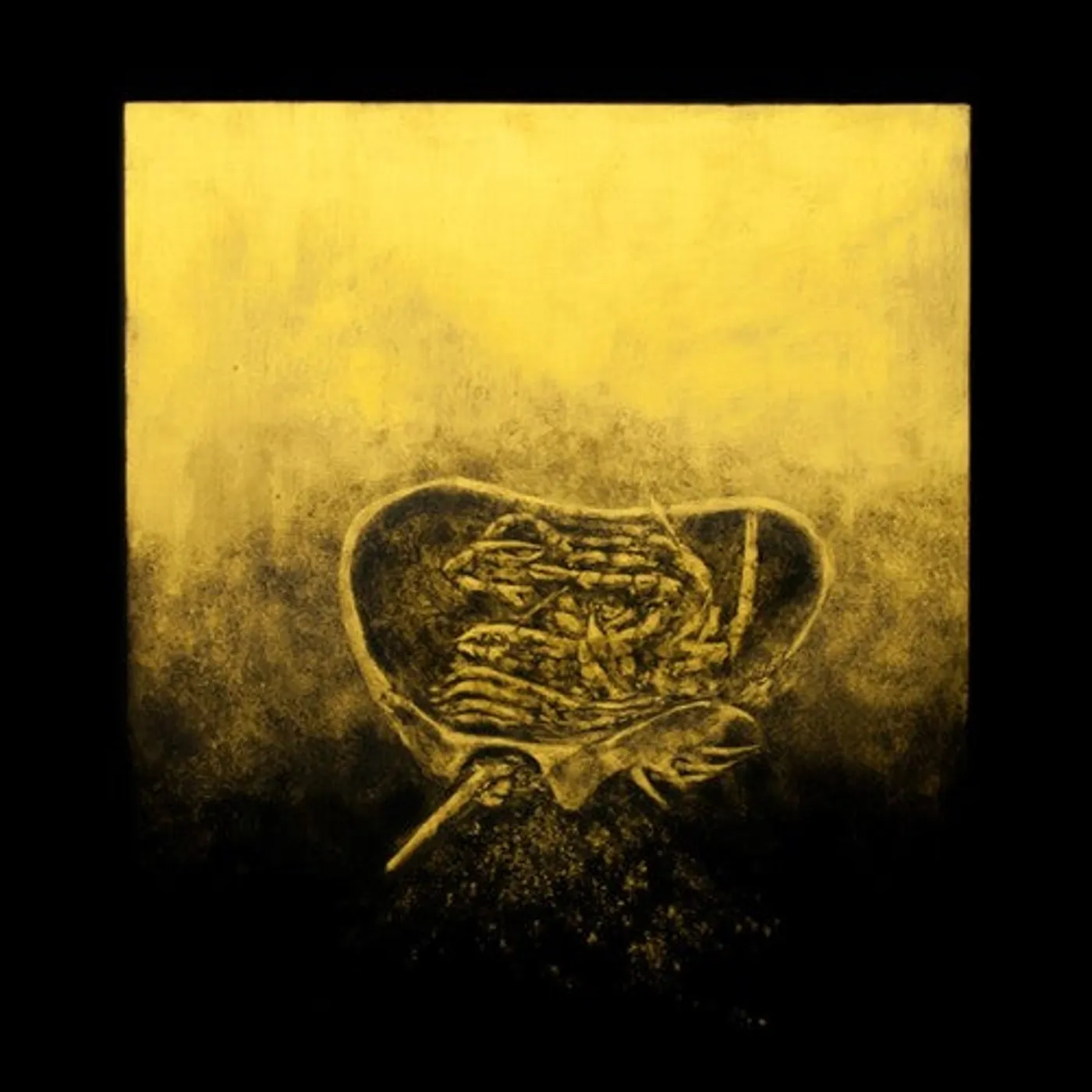 Luna Honey LP Vinyl - Ballast