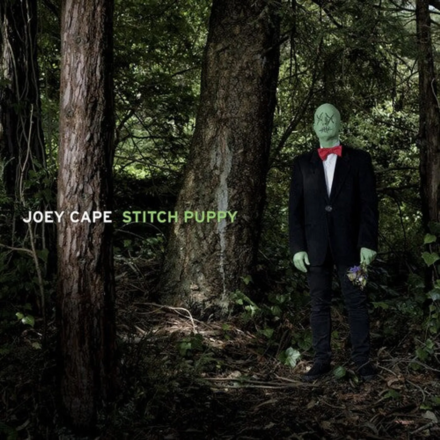 Joey Cape LP Vinyl - Stitch Puppy