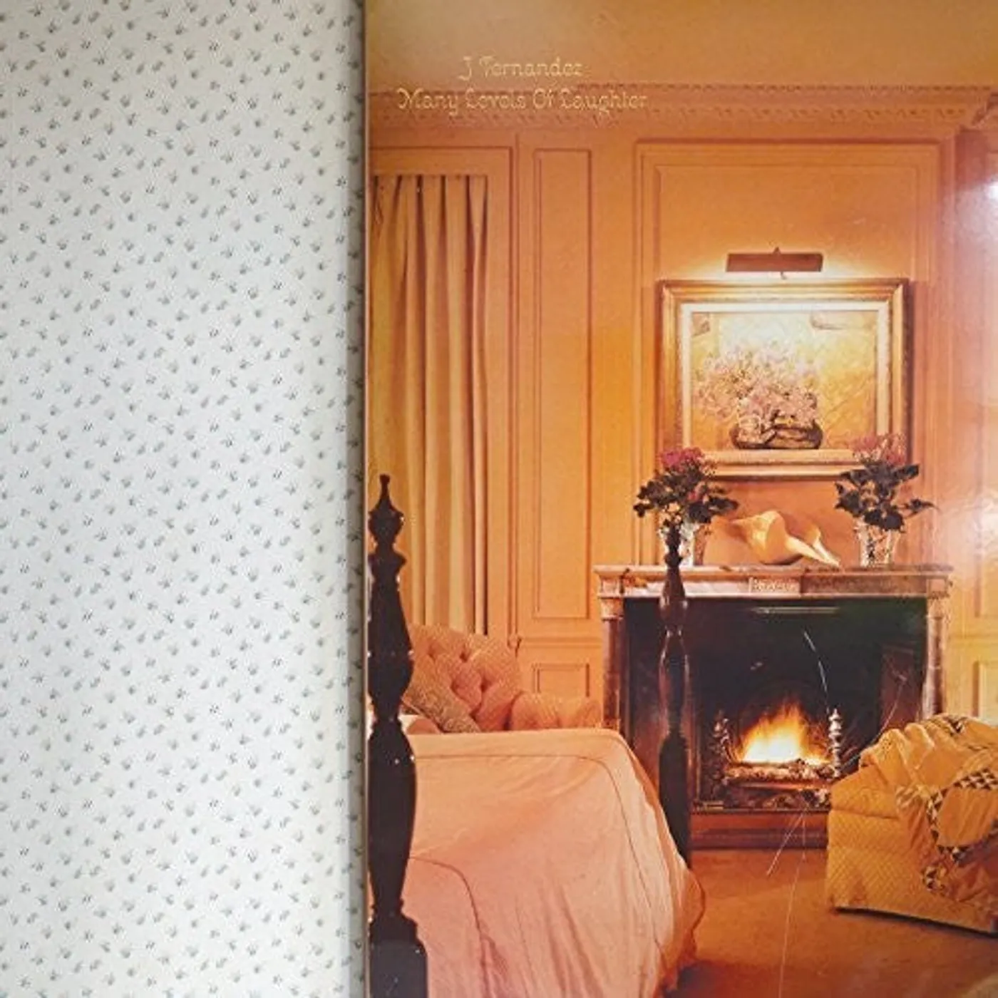 J Fernandez LP Vinyl - Many Levels Of Laughter