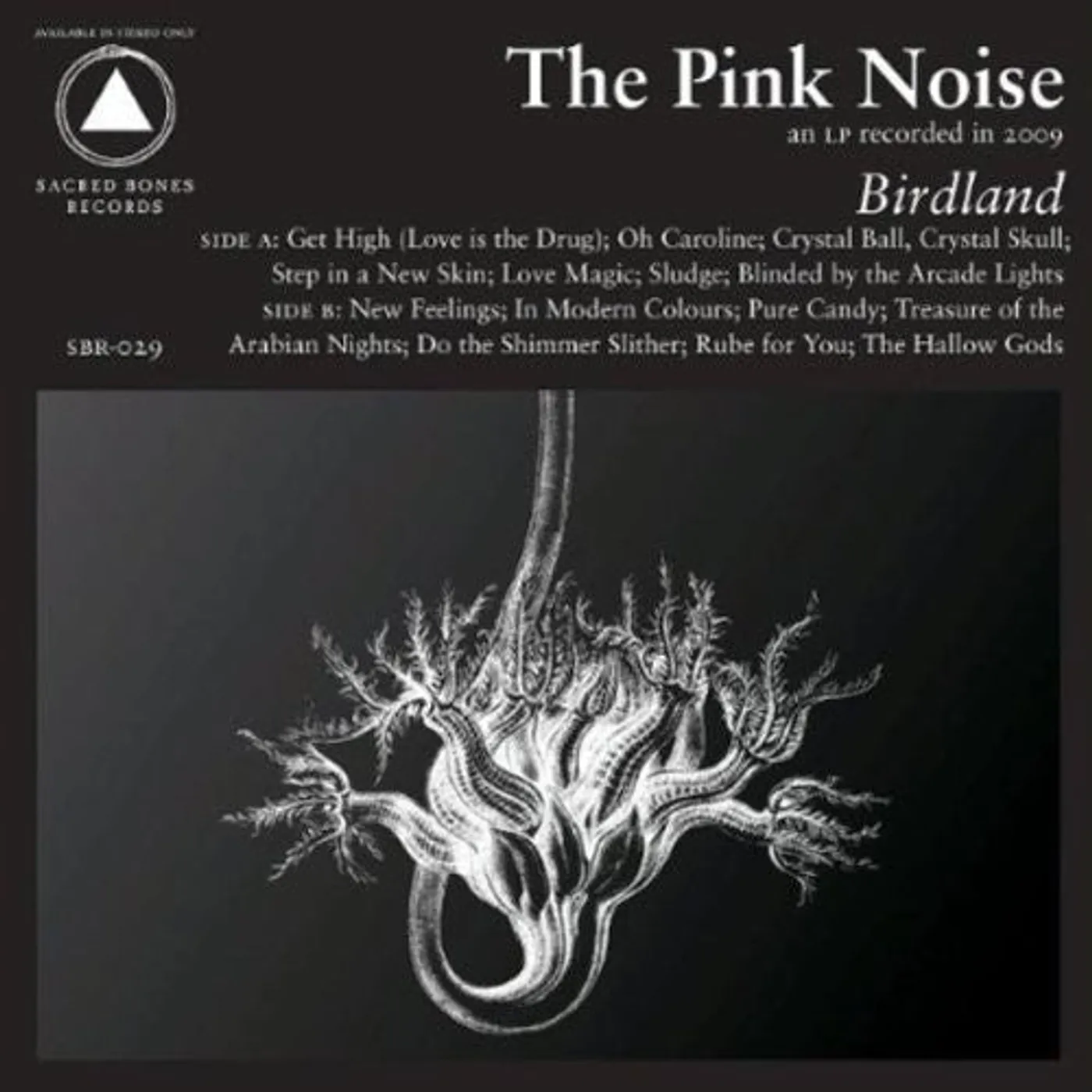 Pink Noise LP Vinyl - Birdland