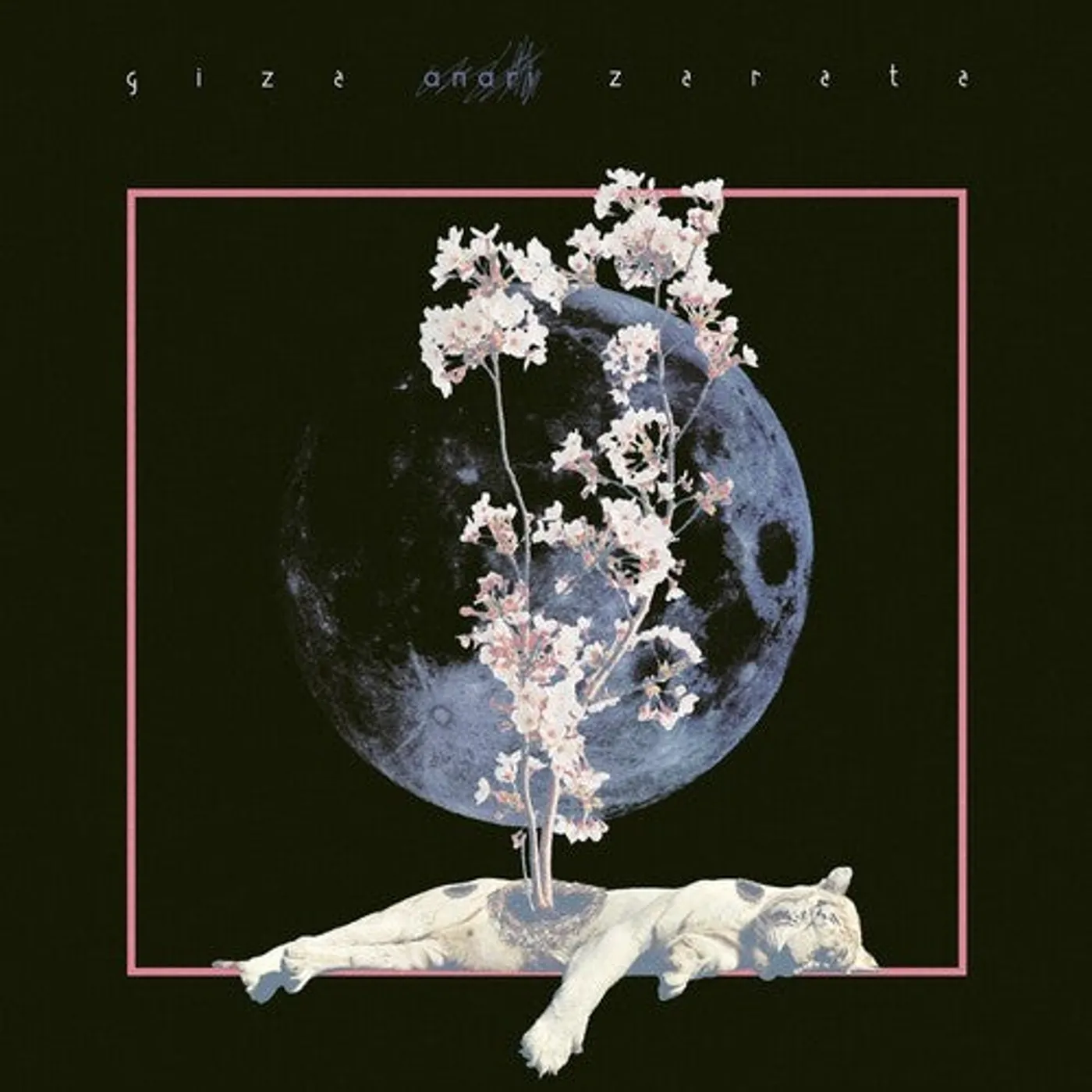 Anari LP Vinyl - Giza Zarata (Spa)
