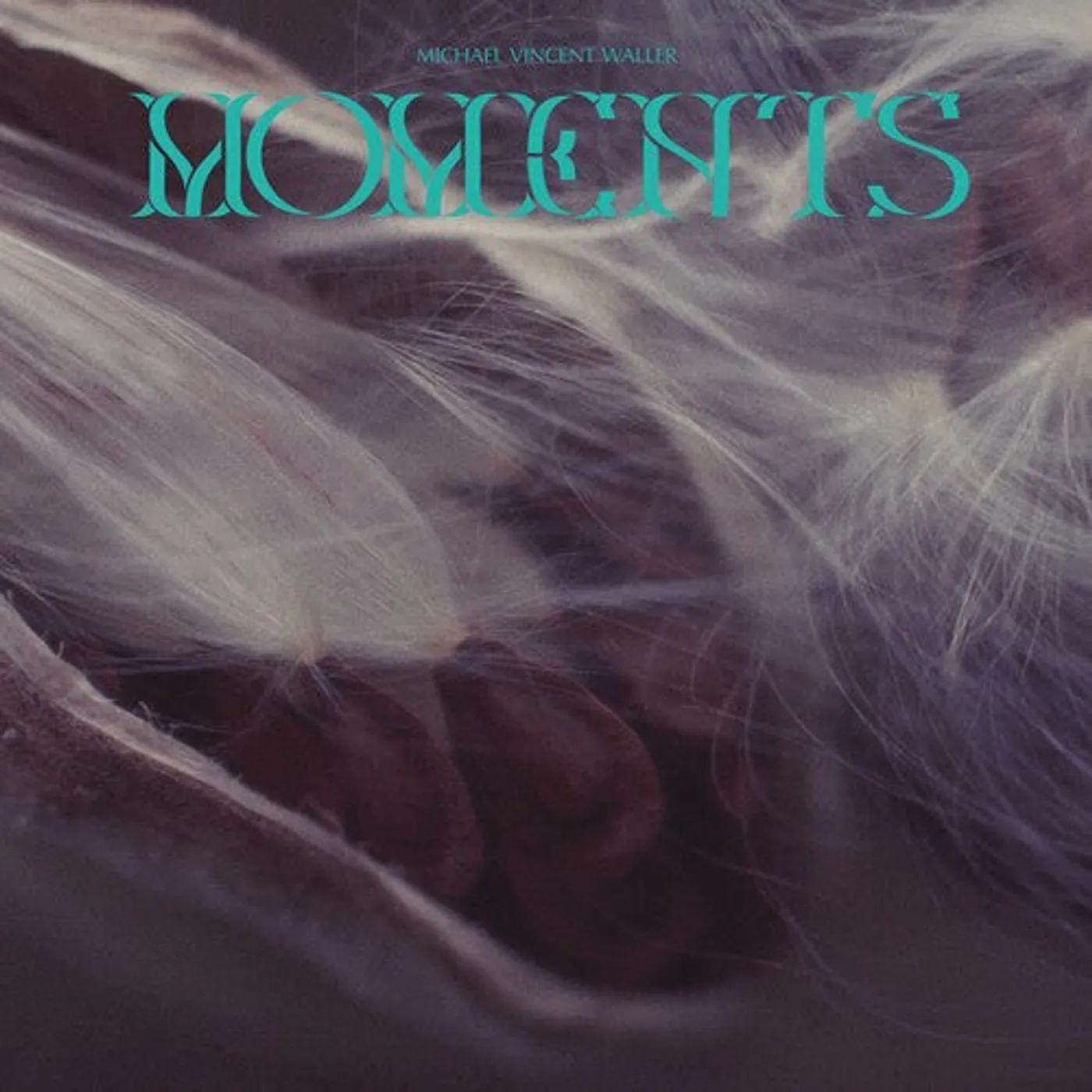 Michael Vincent Waller LP Vinyl - Moments