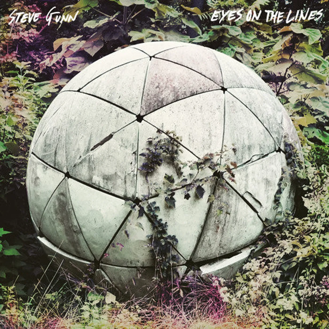 Steve Gunn & Mike Cooper LP Vinyl - Eyes On The Lines (Dlcd)