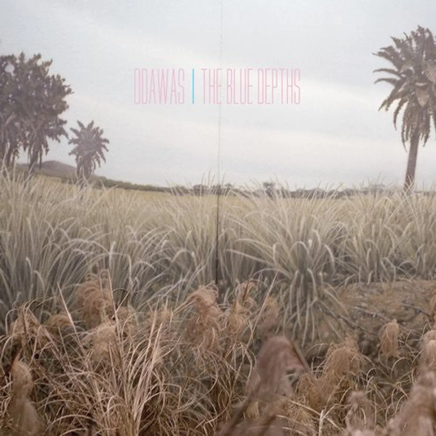 Odawas LP Vinyl - Blue Depths