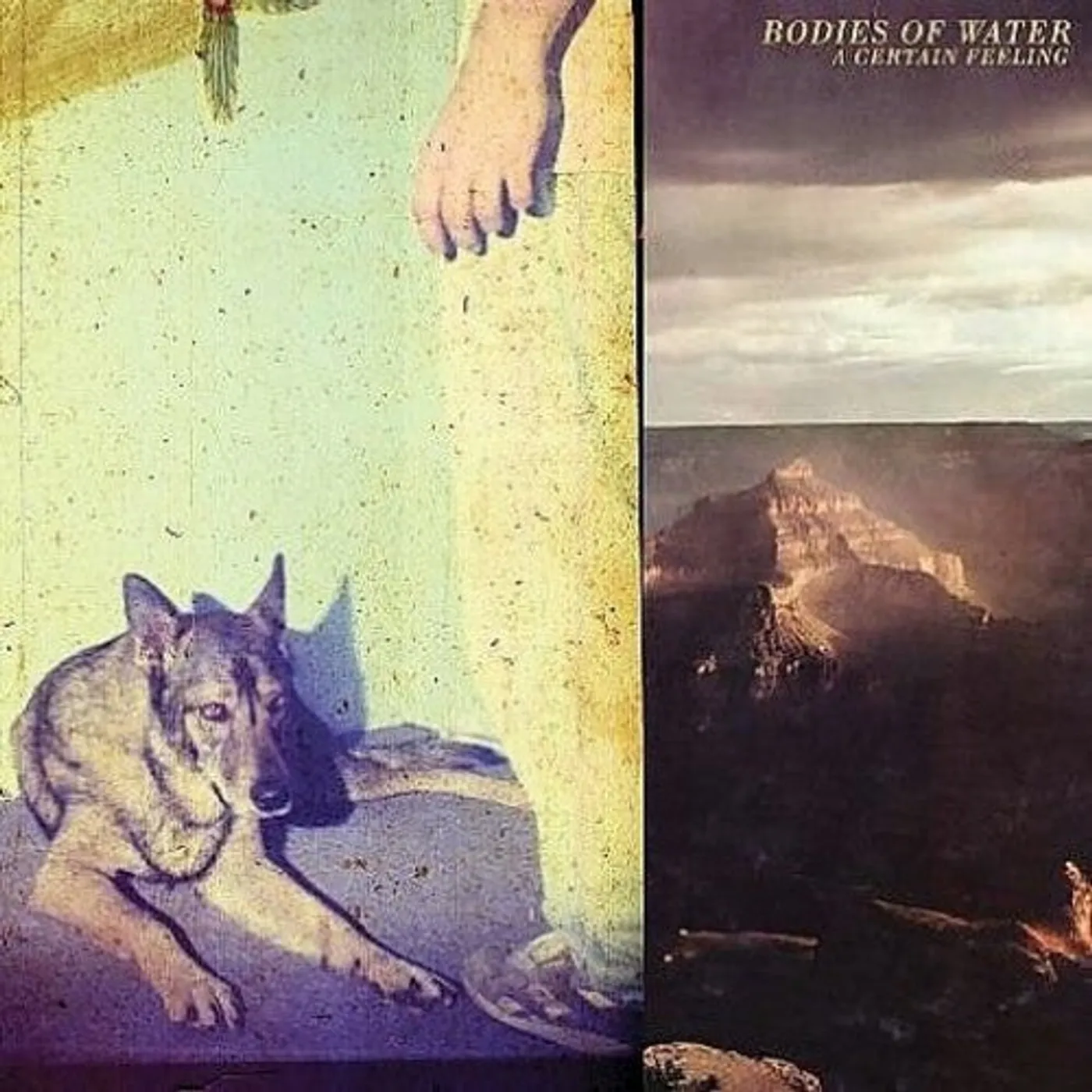 Bodies Of Water LP Vinyl - Certain Feeling