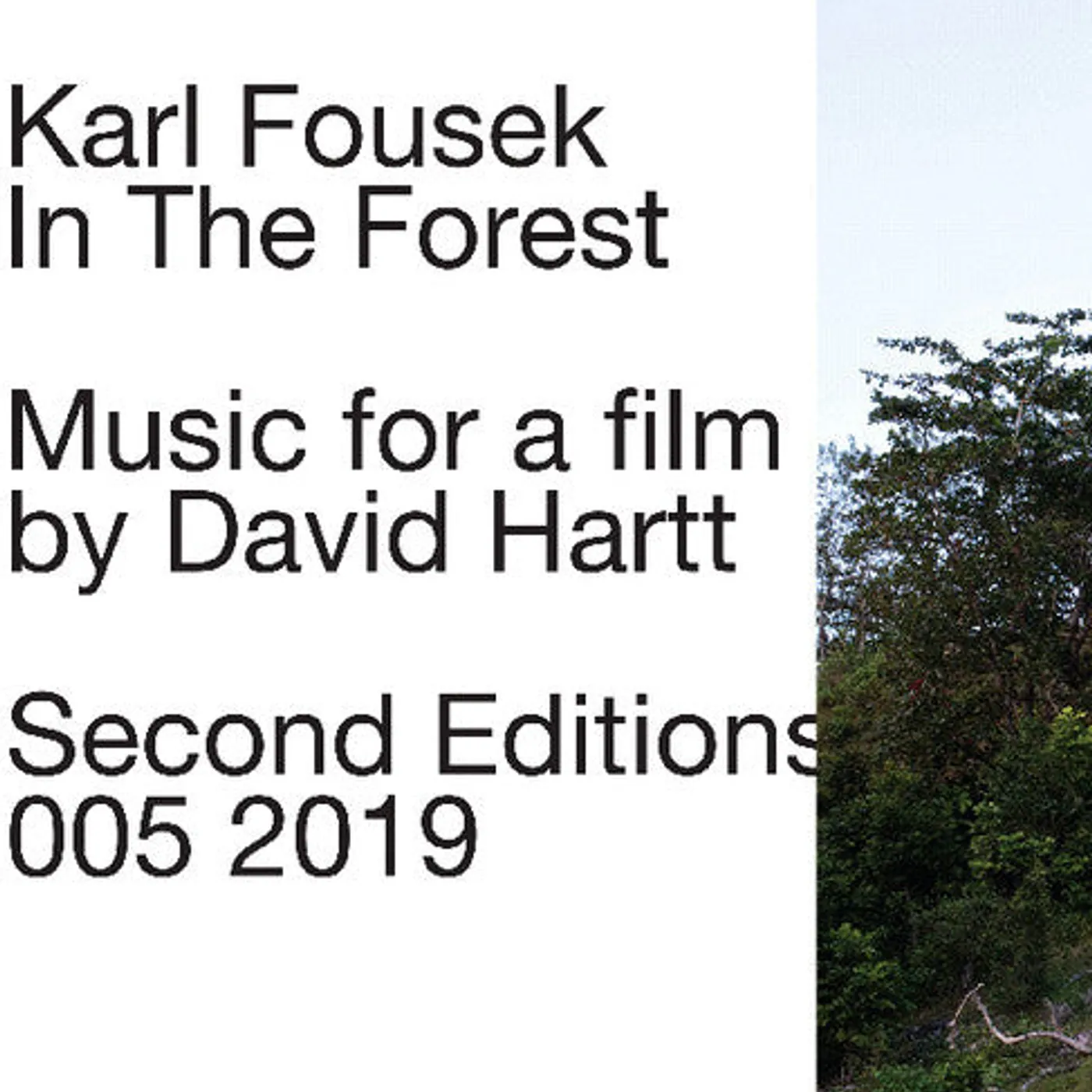 Karl Fousek LP Vinyl - In The Forest