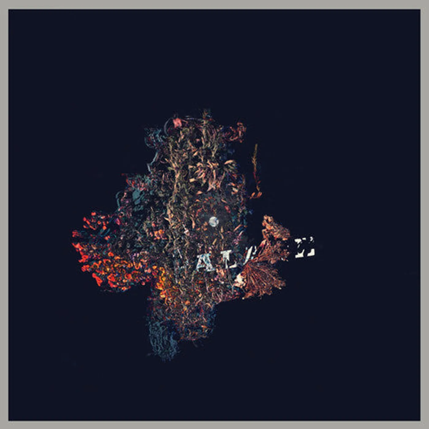 B LP Vinyl - Palace