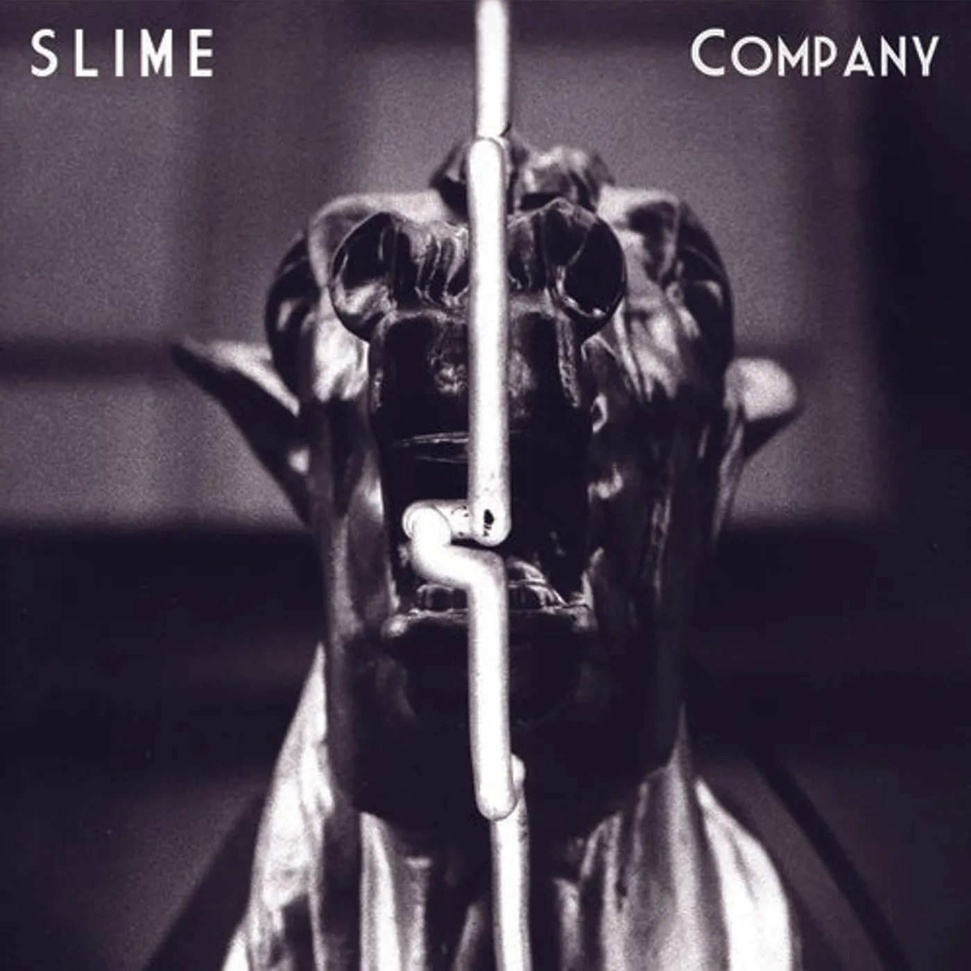 Slime LP Vinyl - Company (Ogv) (Dlcd)