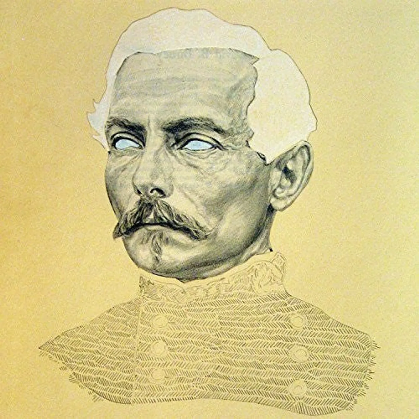 Rogue Wave LP Vinyl - Delusions Of Grand Fur
