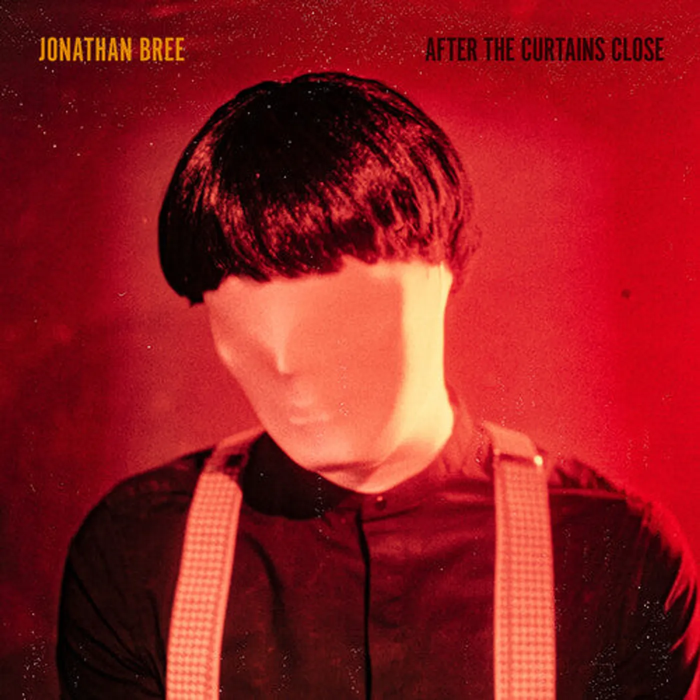 Jonathan Bree LP Vinyl - After The Curtains Close