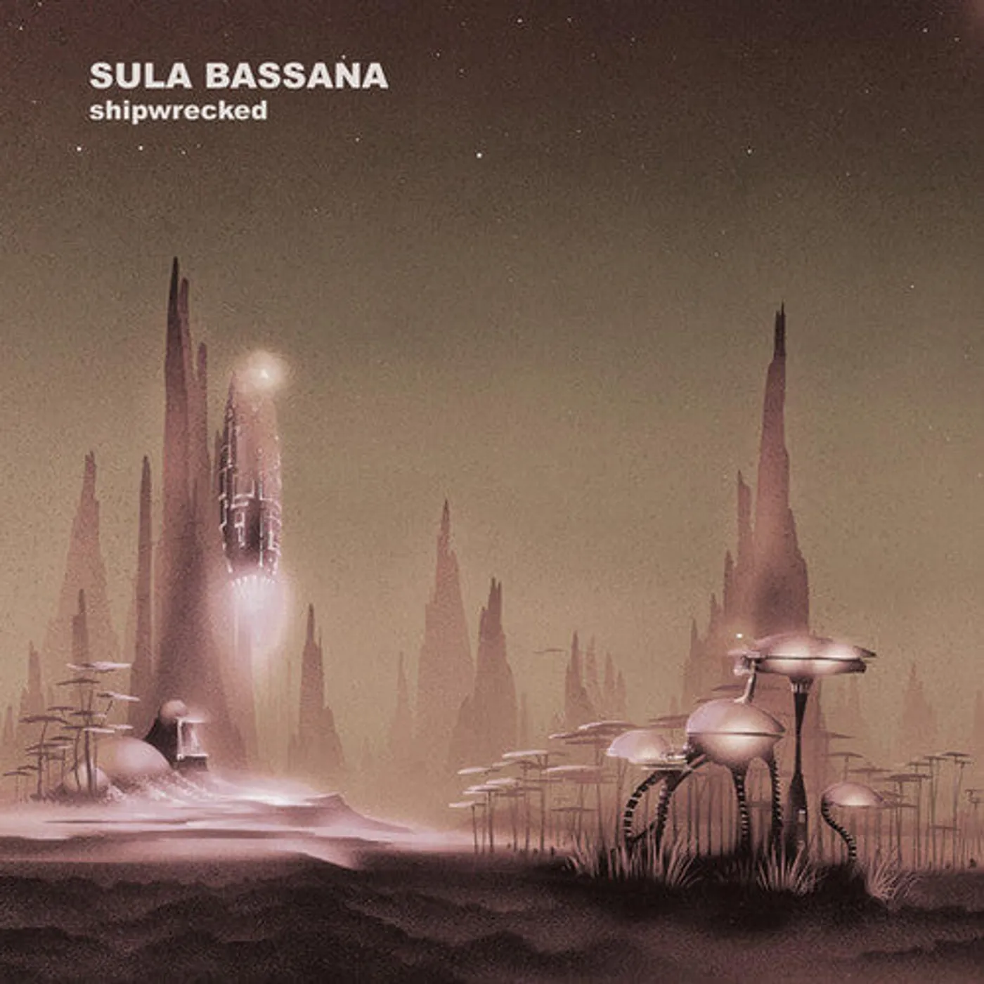 Sula Bassana LP Vinyl - Shipwrecked