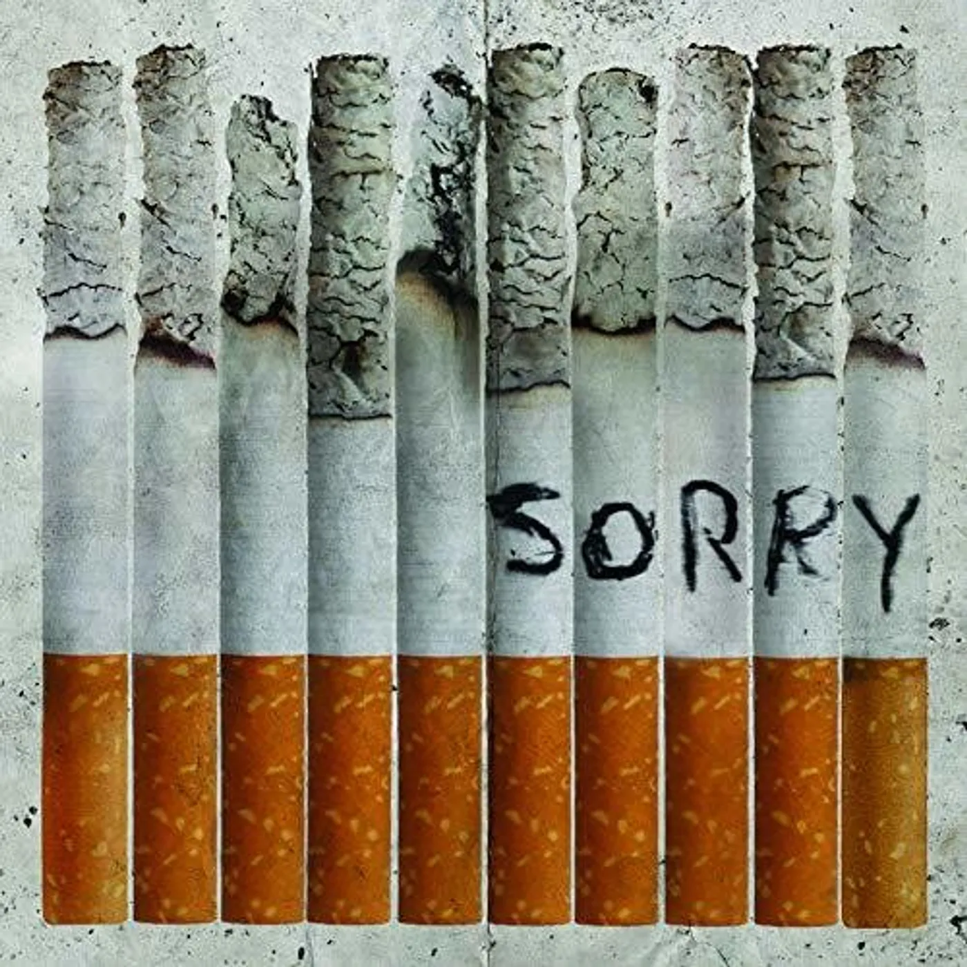 Totally Unicorn LP Vinyl - Sorry (Coloured Vinyl) (Gry) (Ltd) (Aus)
