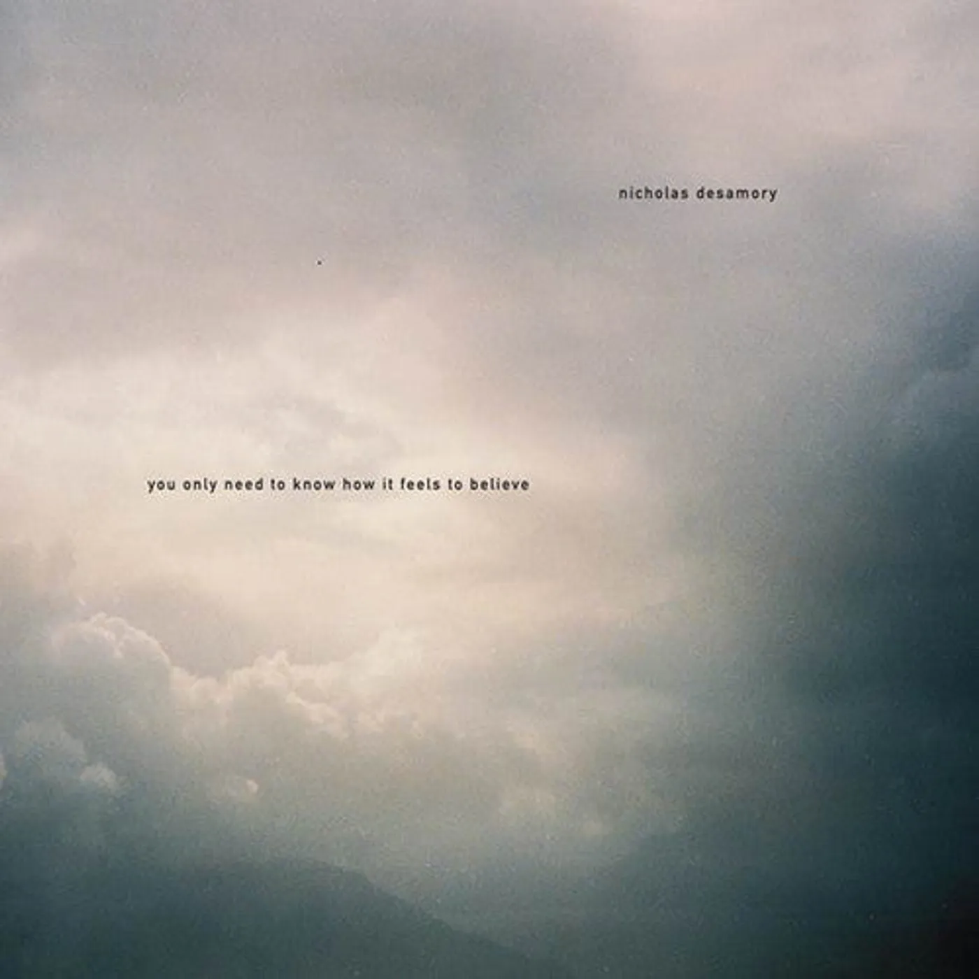 Nicholas Desamory LP Vinyl - You Only Need To Know How It Feels To Believe