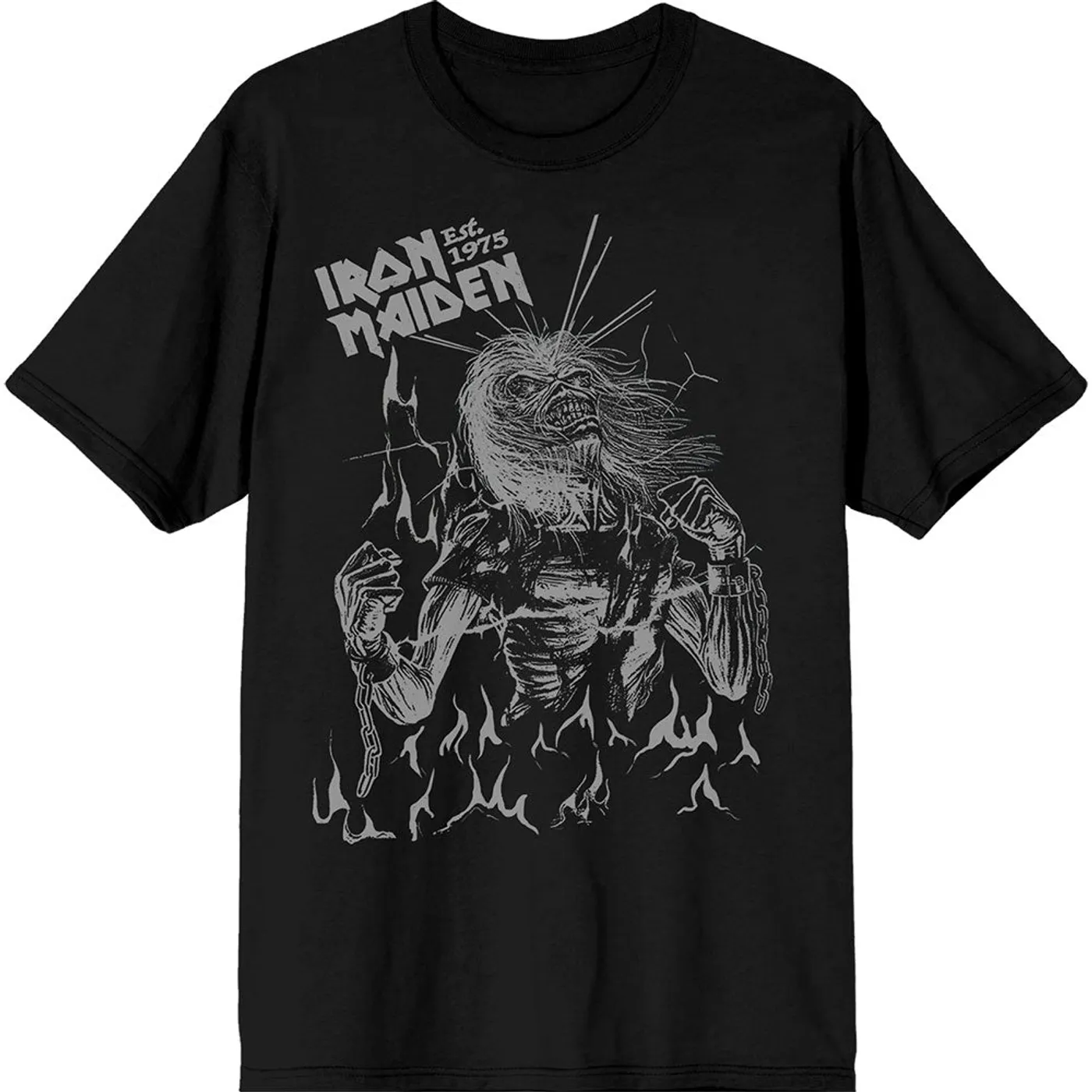 Iron Maiden T Shirt - Est. 1975 Life After Death Flames