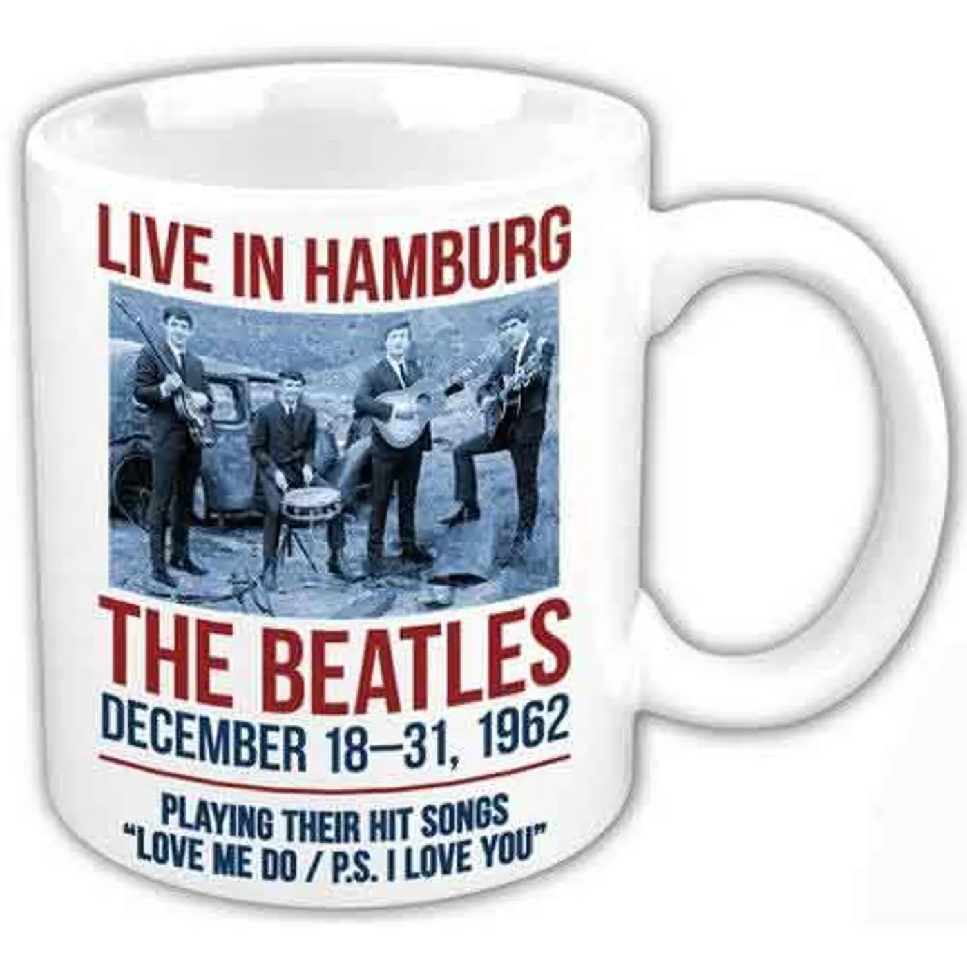The Beatles Matte Mugs - Dani
