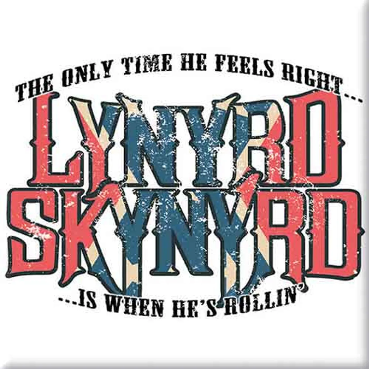 Lynyrd Skynyrd Fridge Magnets - Paradigm Shift