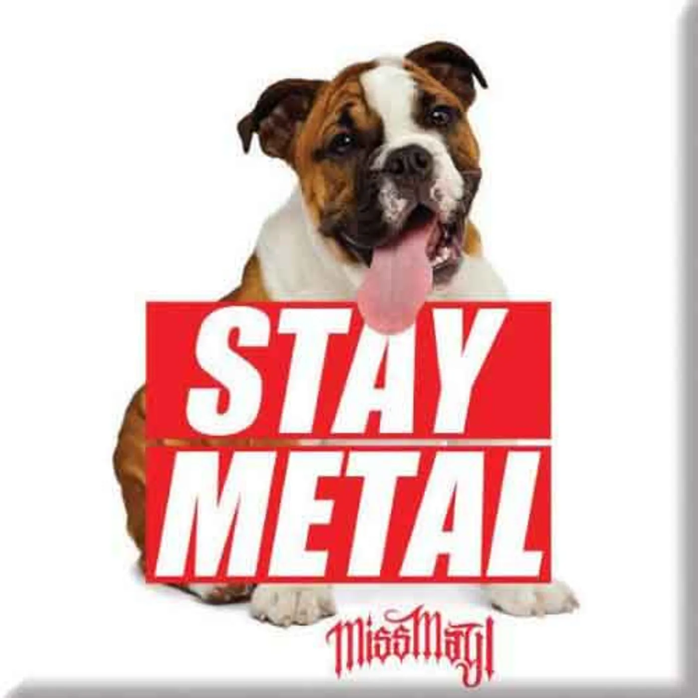 Miss May I Fridge Magnets - Band Photo