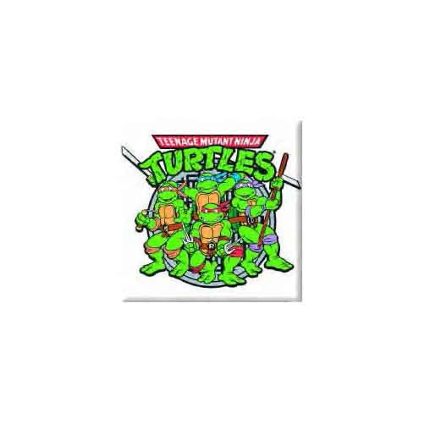 Teenage Mutant Ninja Turtles Fridge Magnets - Persistence Of Time