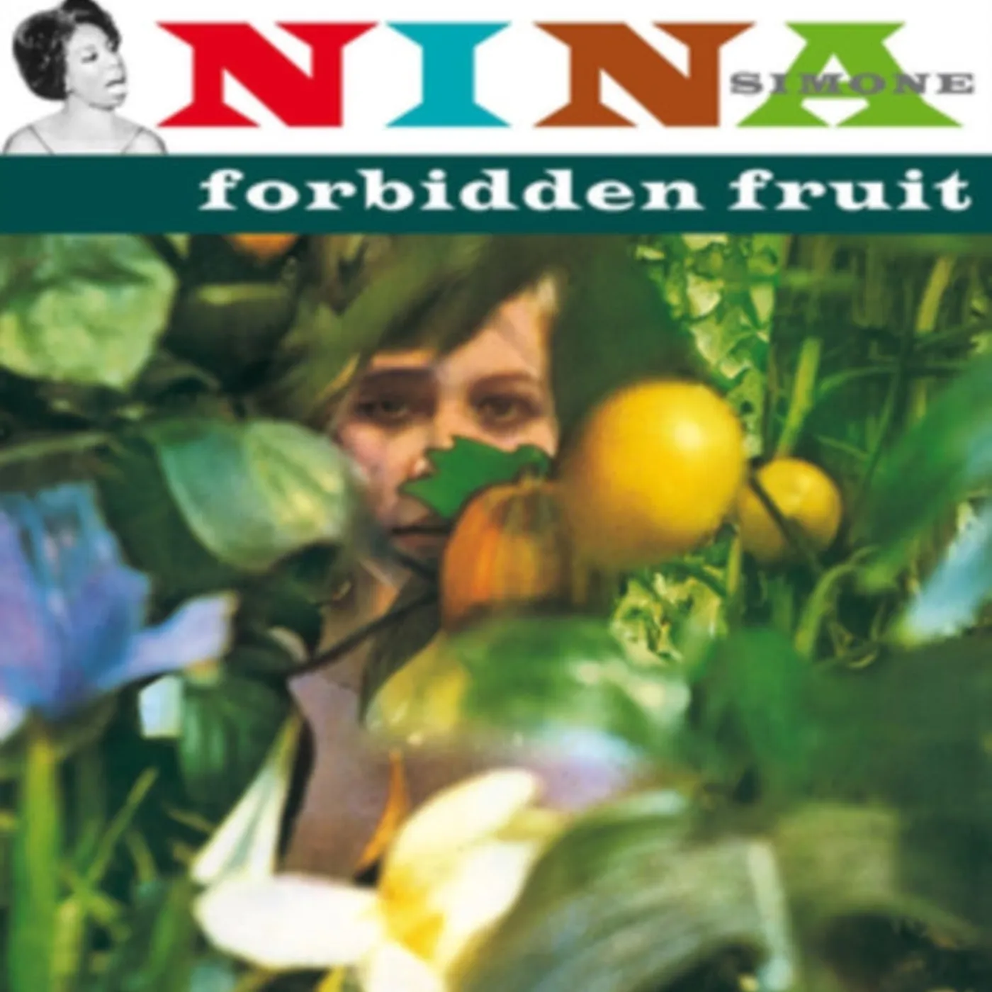 Nina Simone LP Vinyl Record - Forbidden Fruit