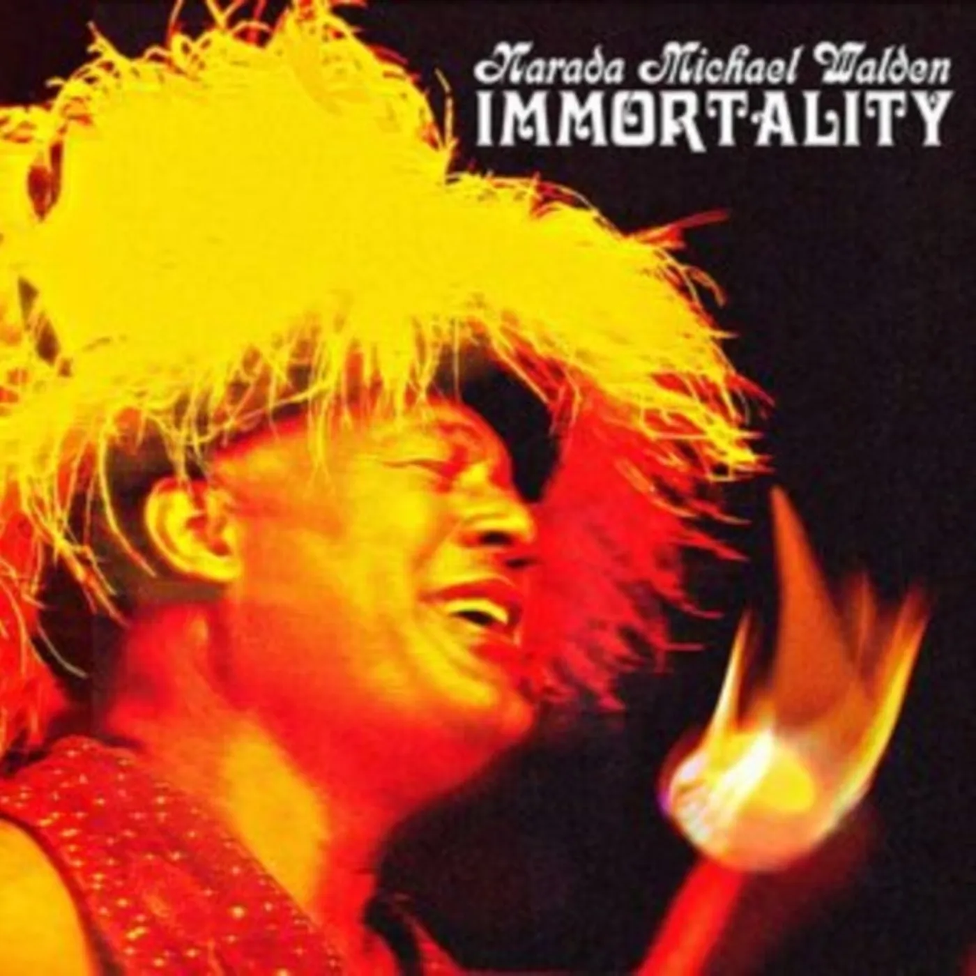 Narada Michael Walden LP Vinyl Record - Immortality